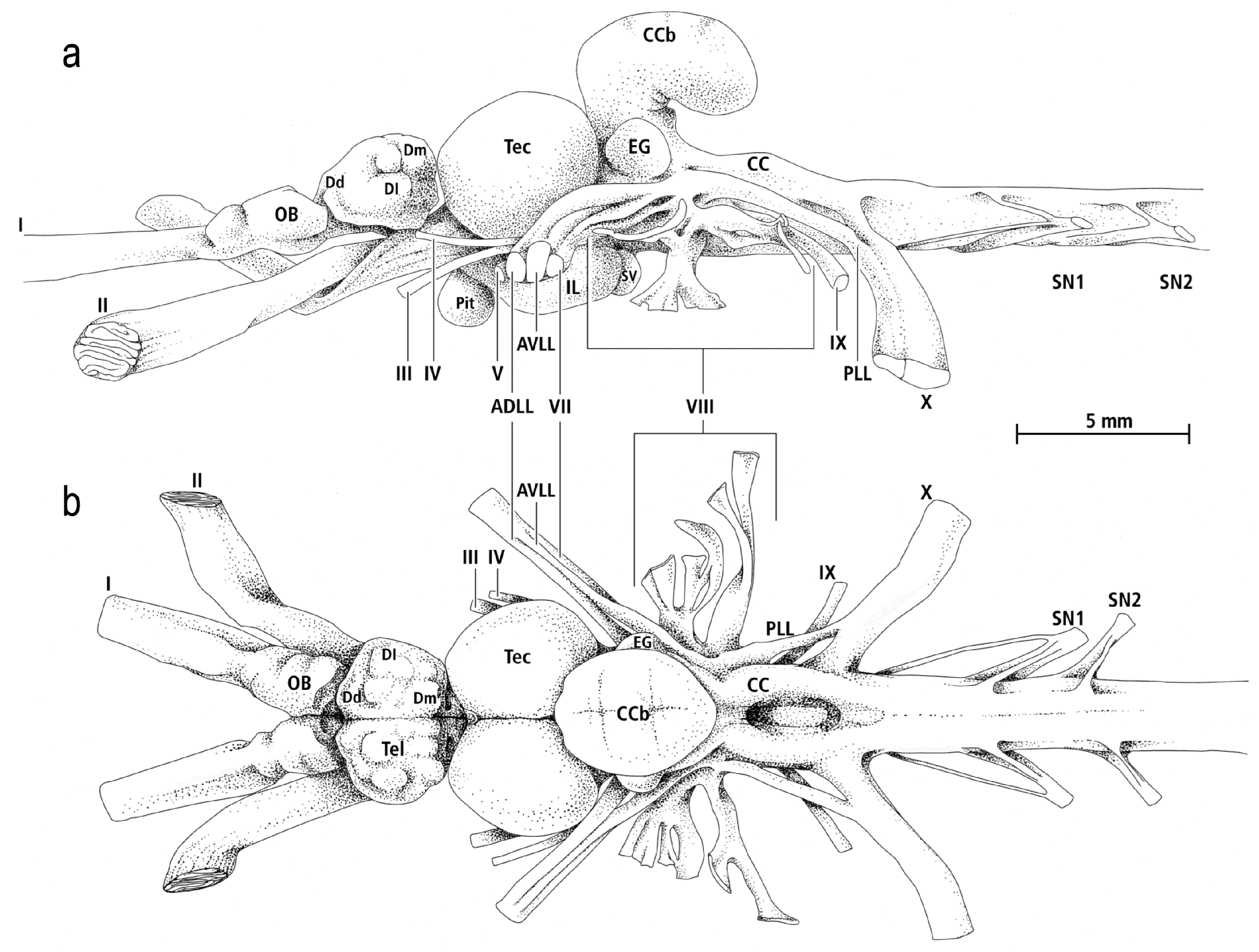Diversity 16 00214 g028