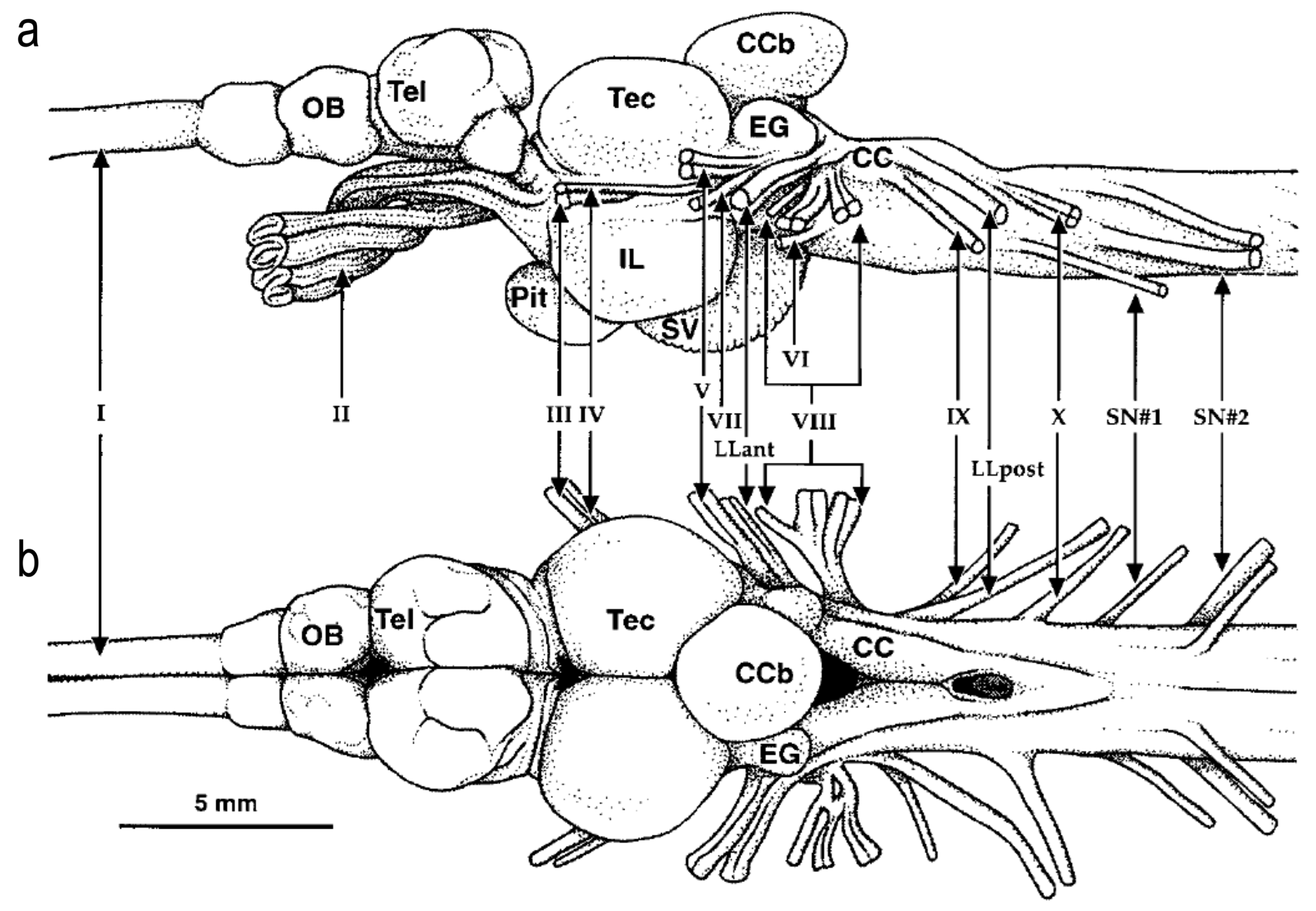 Diversity 16 00214 g031