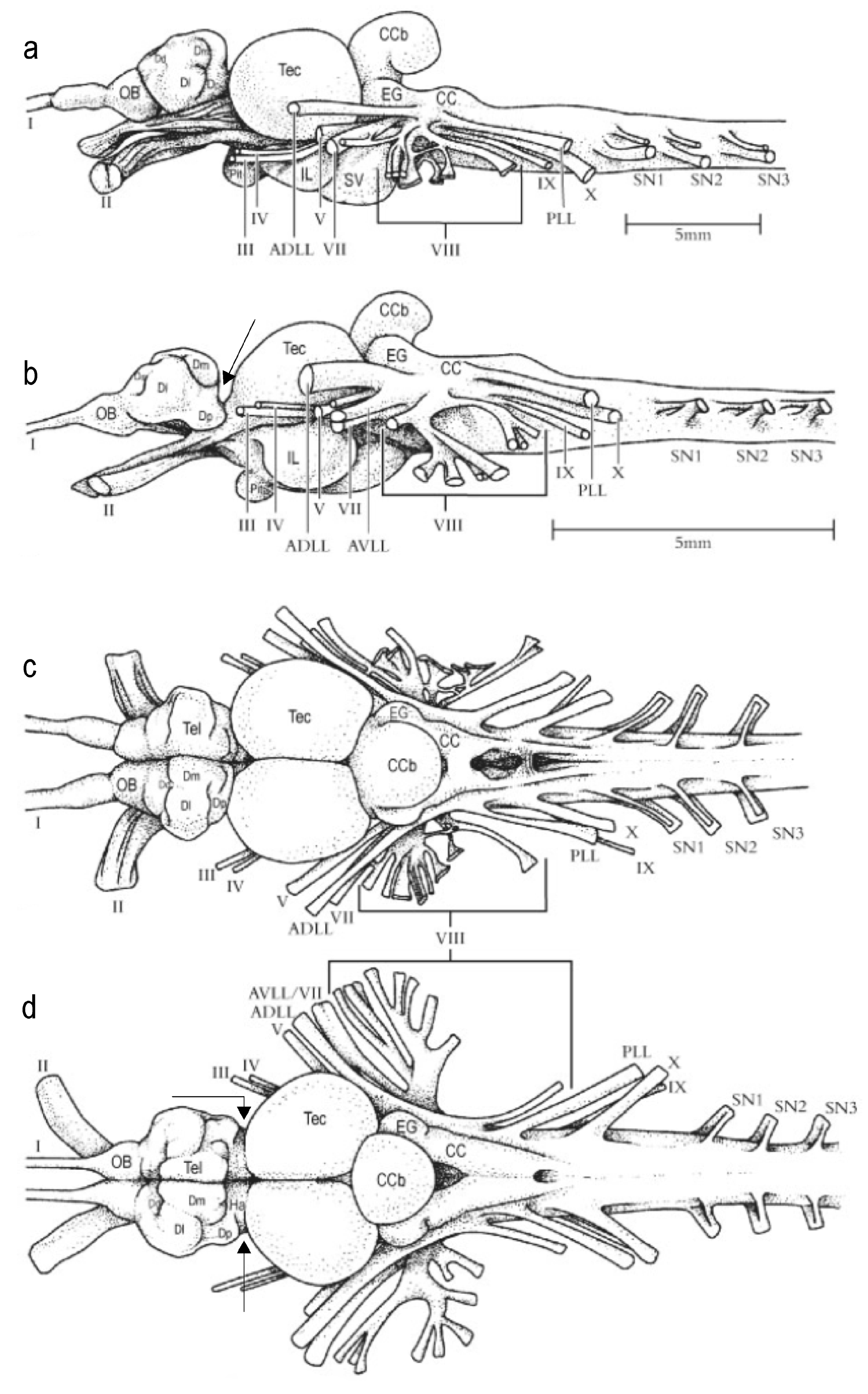 Diversity 16 00214 g033