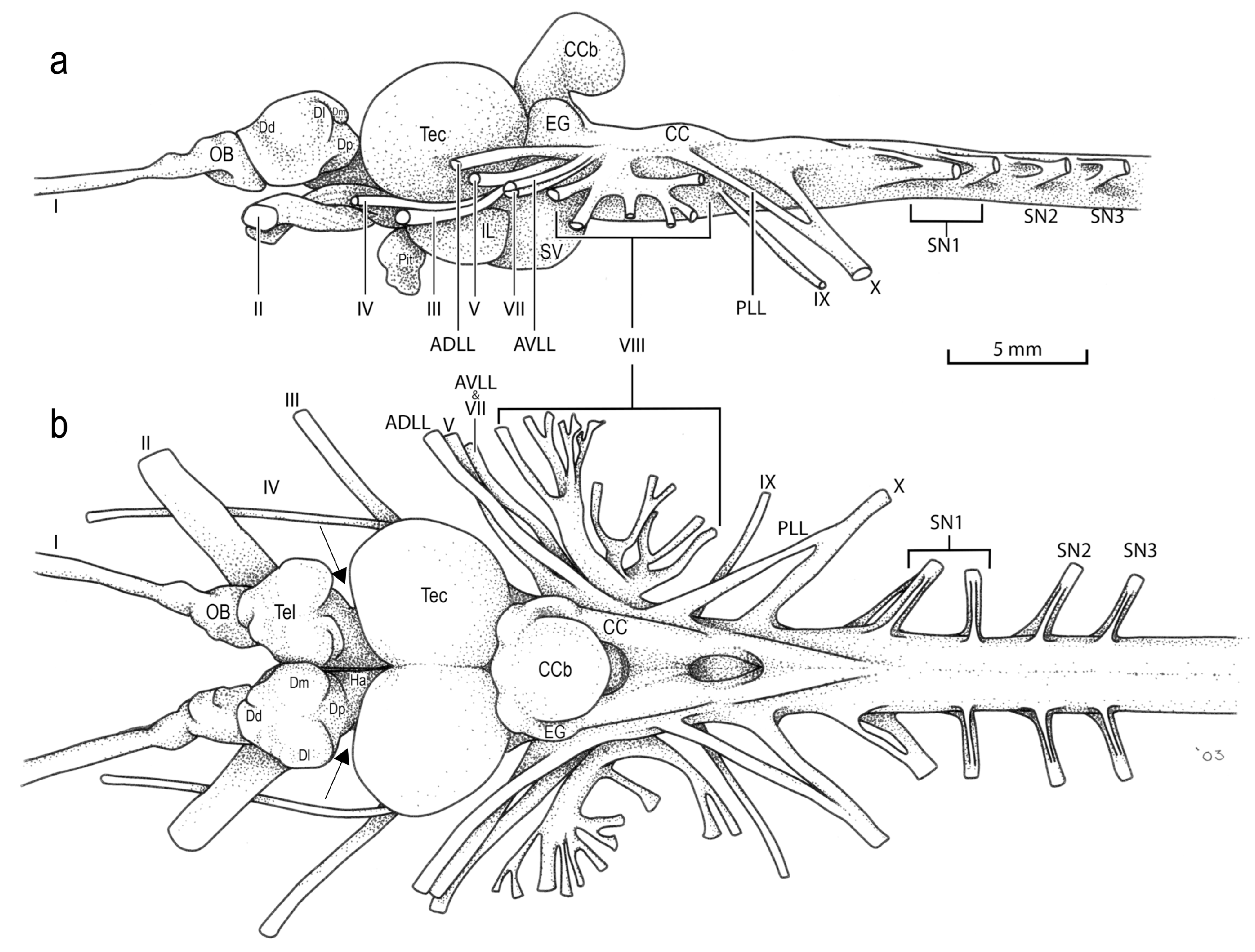 Diversity 16 00214 g035