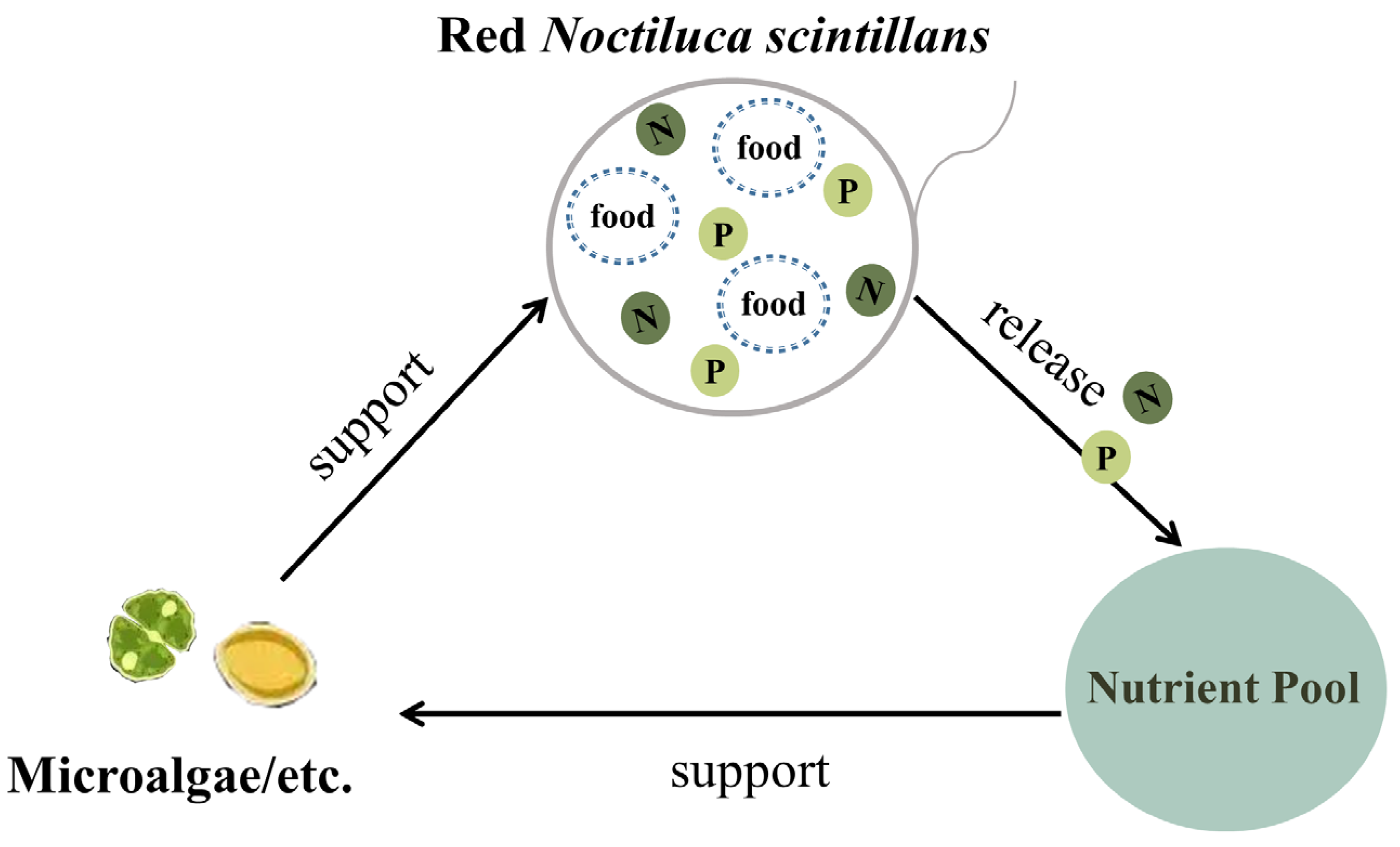 Diversity 16 00215 g007 Diversity 16 00215 g007