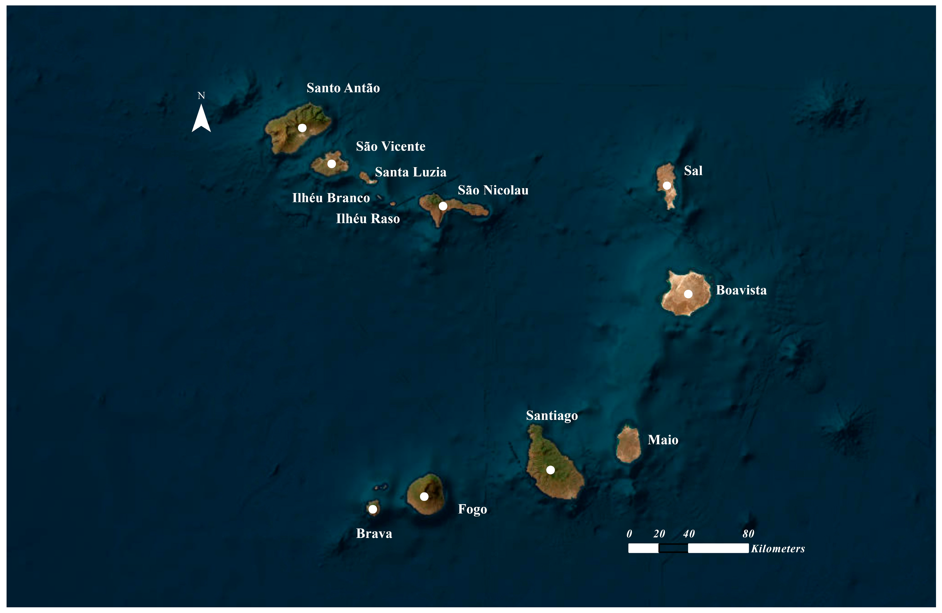 Diversity 16 00217 g001