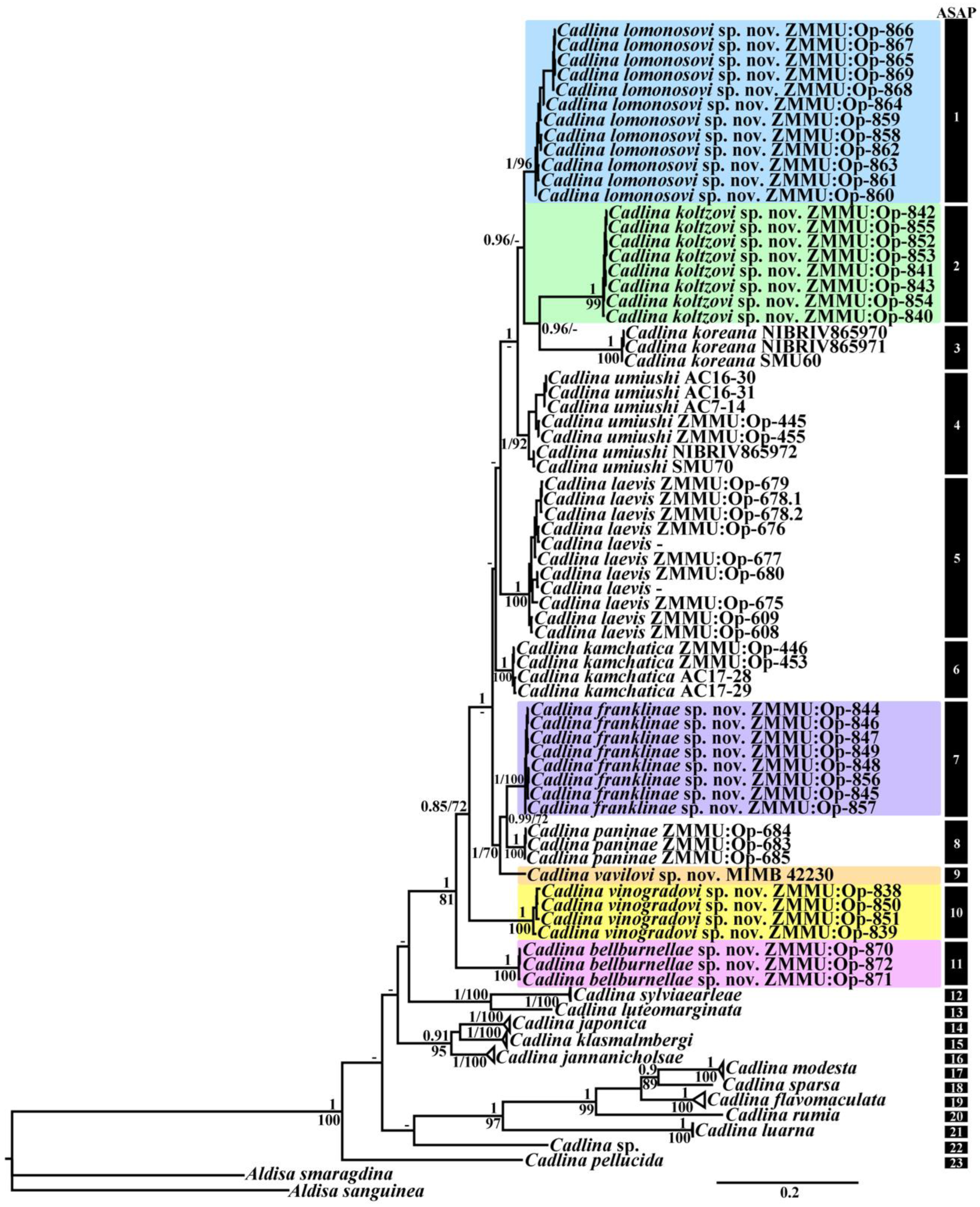 Diversity 16 00220 g001