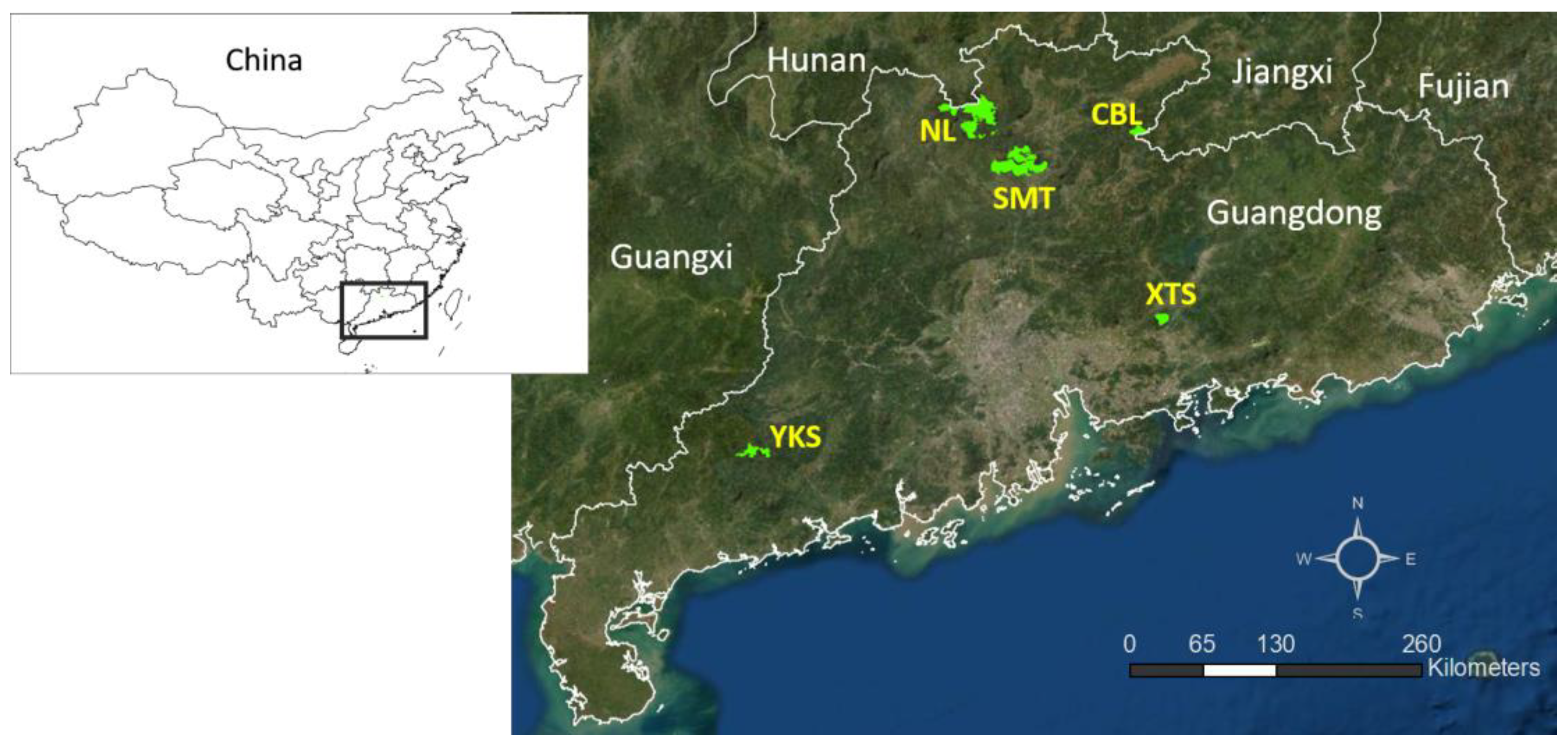 Diversity 16 00222 g001