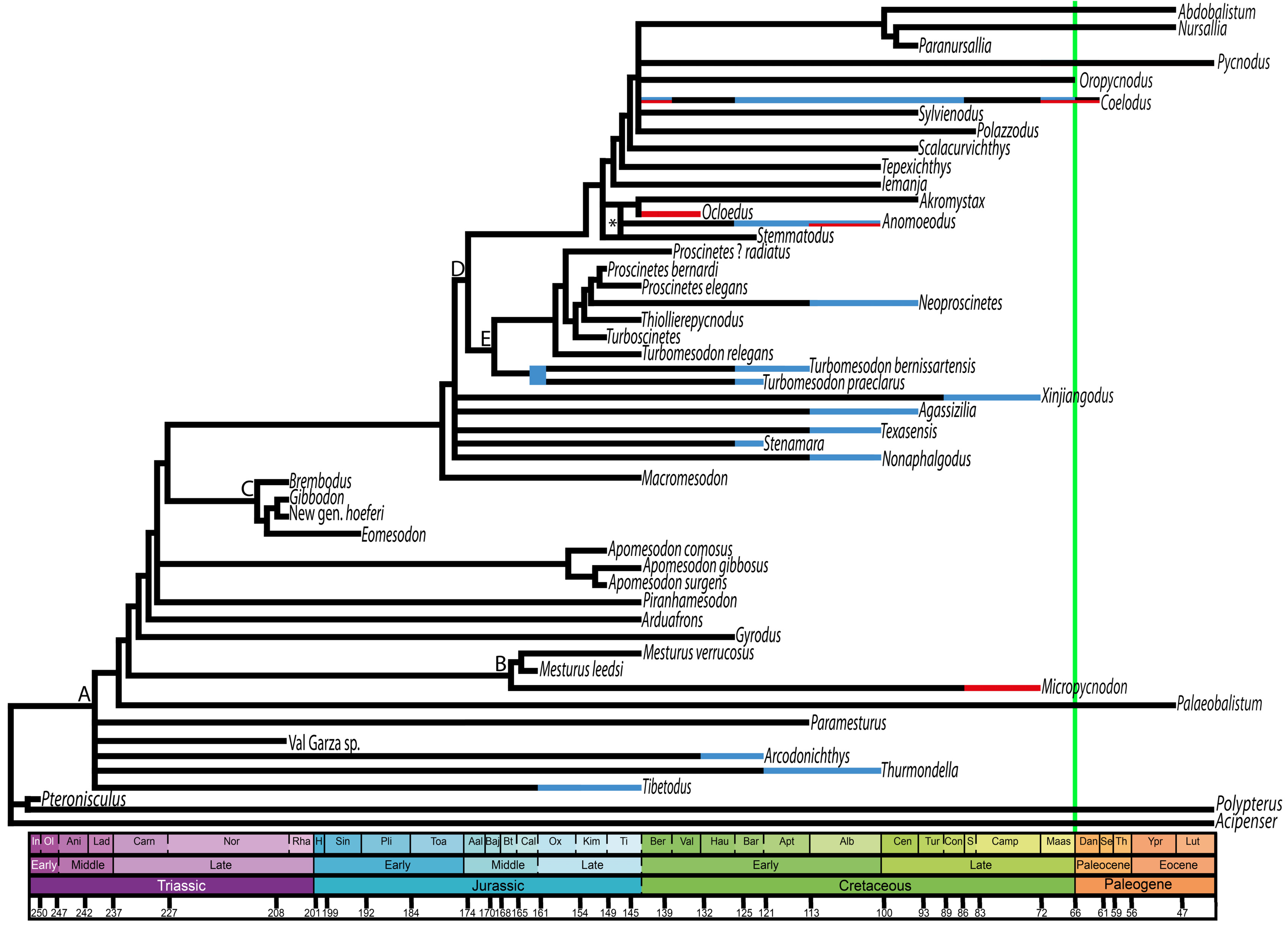 Diversity 16 00225 g004