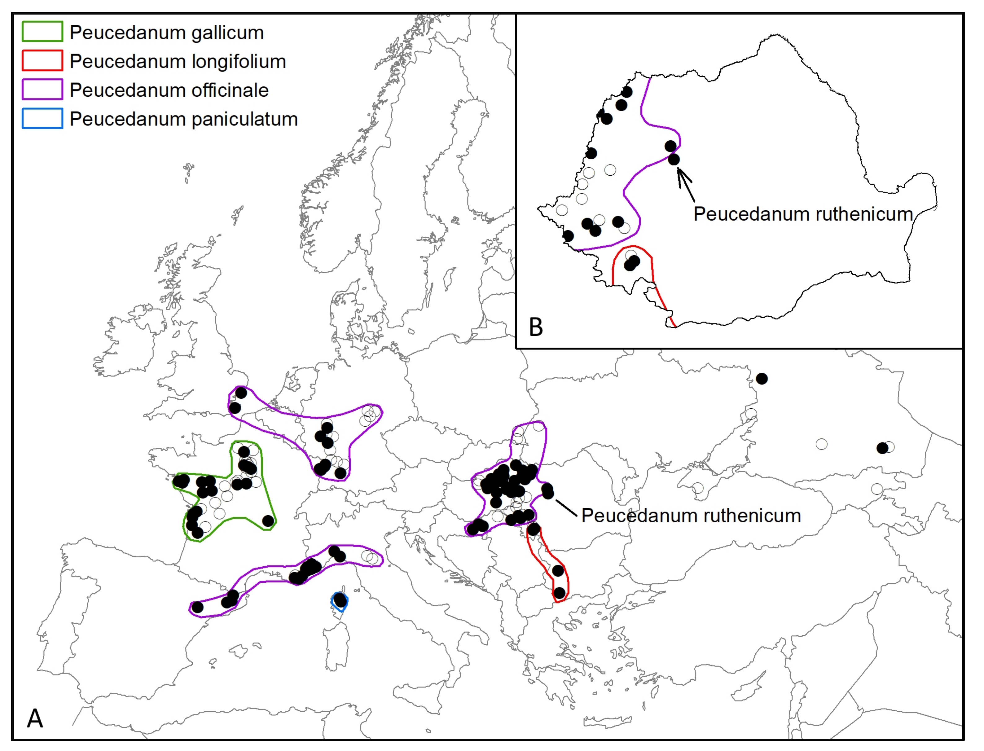 Diversity 16 00227 g004