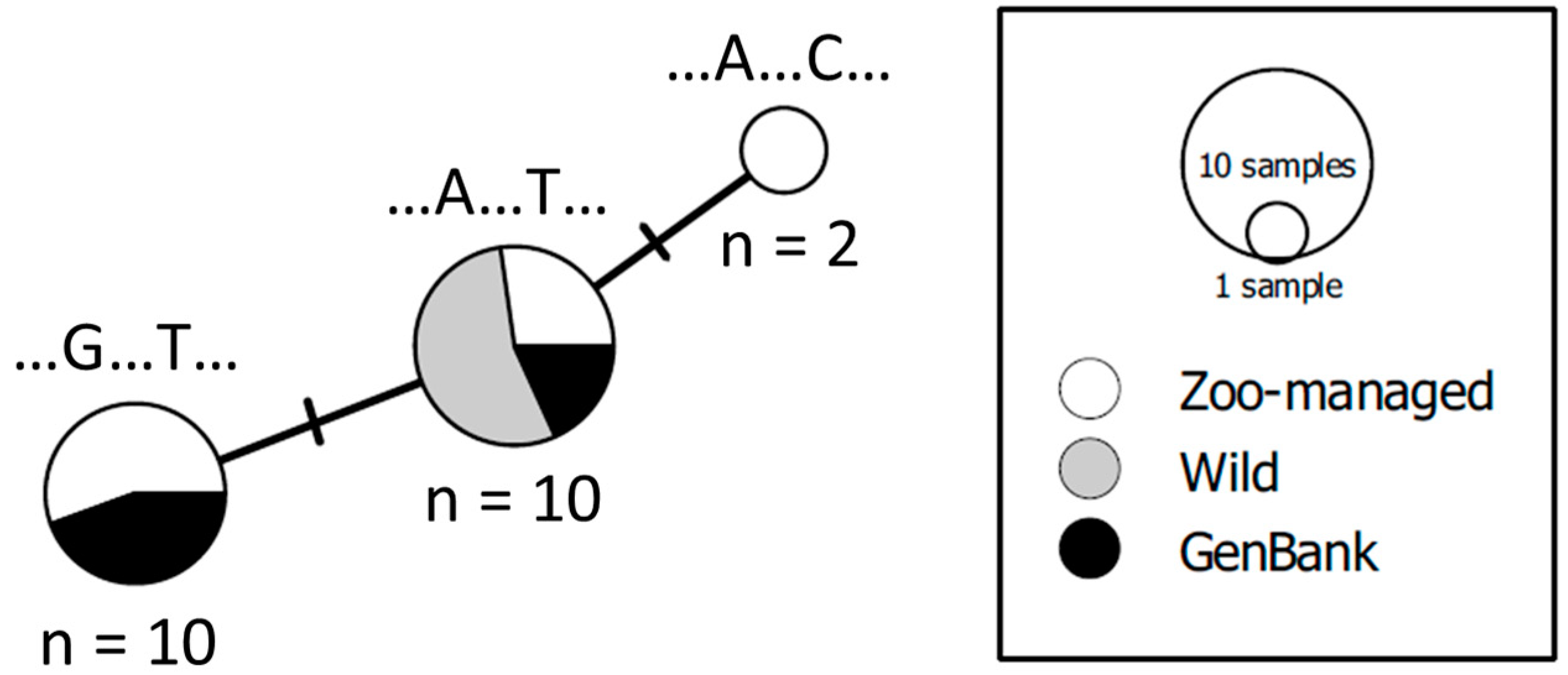 Diversity 16 00228 g002