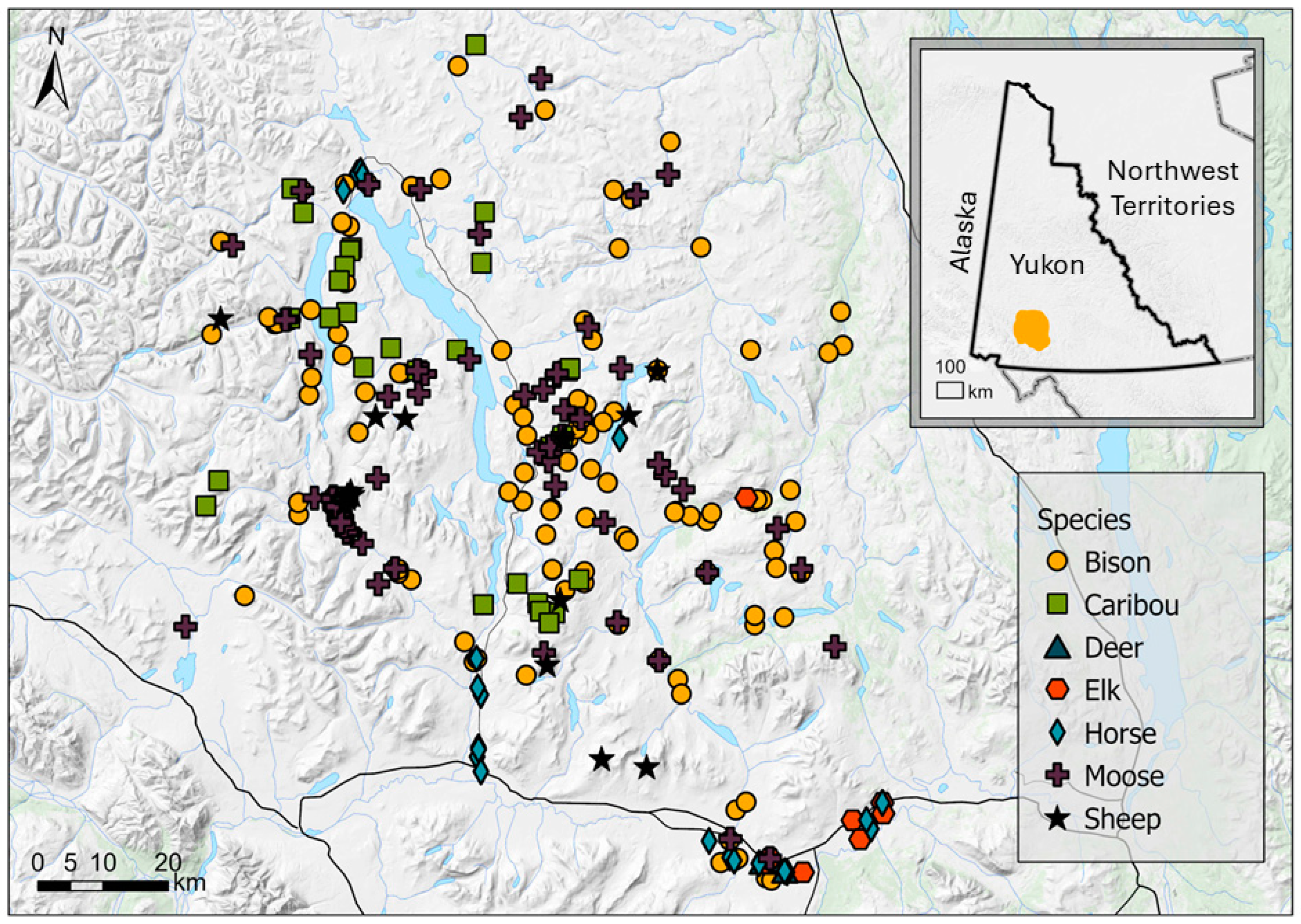 Diversity 16 00230 g001 Diversity 16 00230 g001