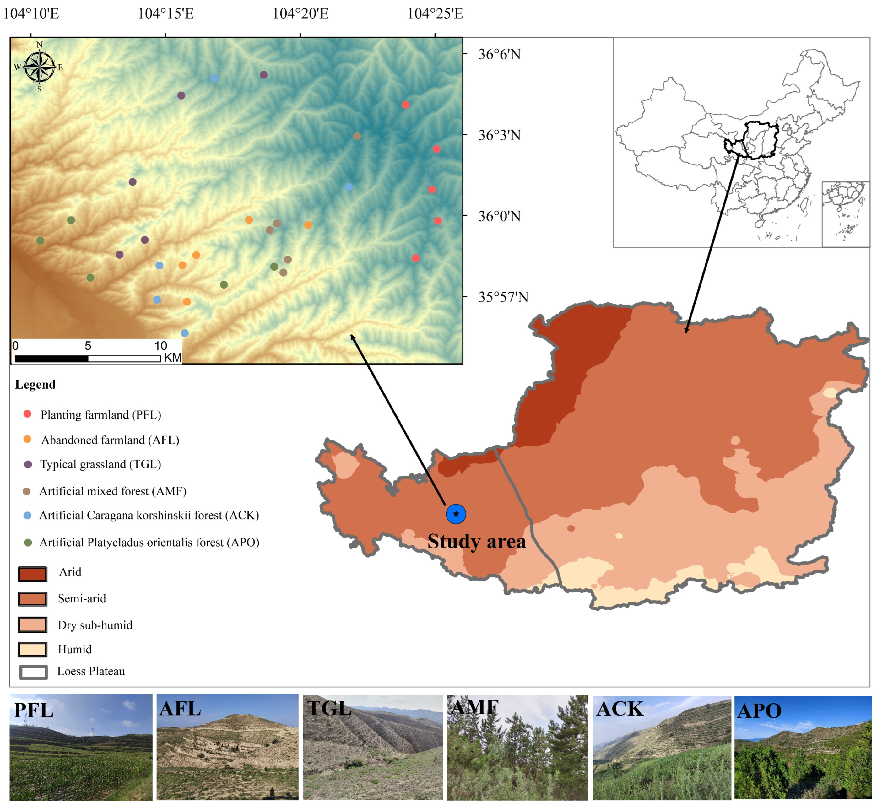 Diversity 16 00235 g001