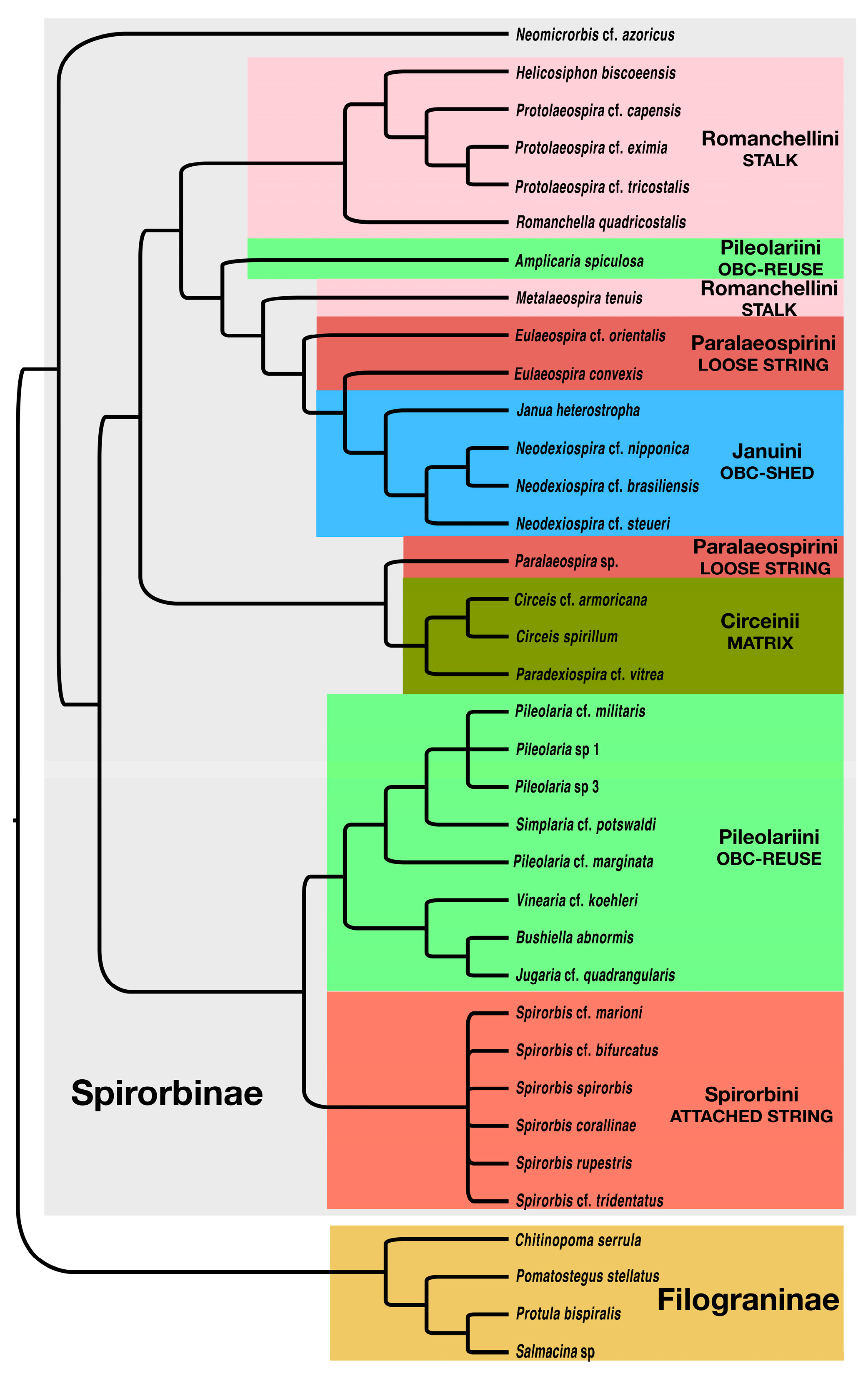 Diversity 16 00237 g002