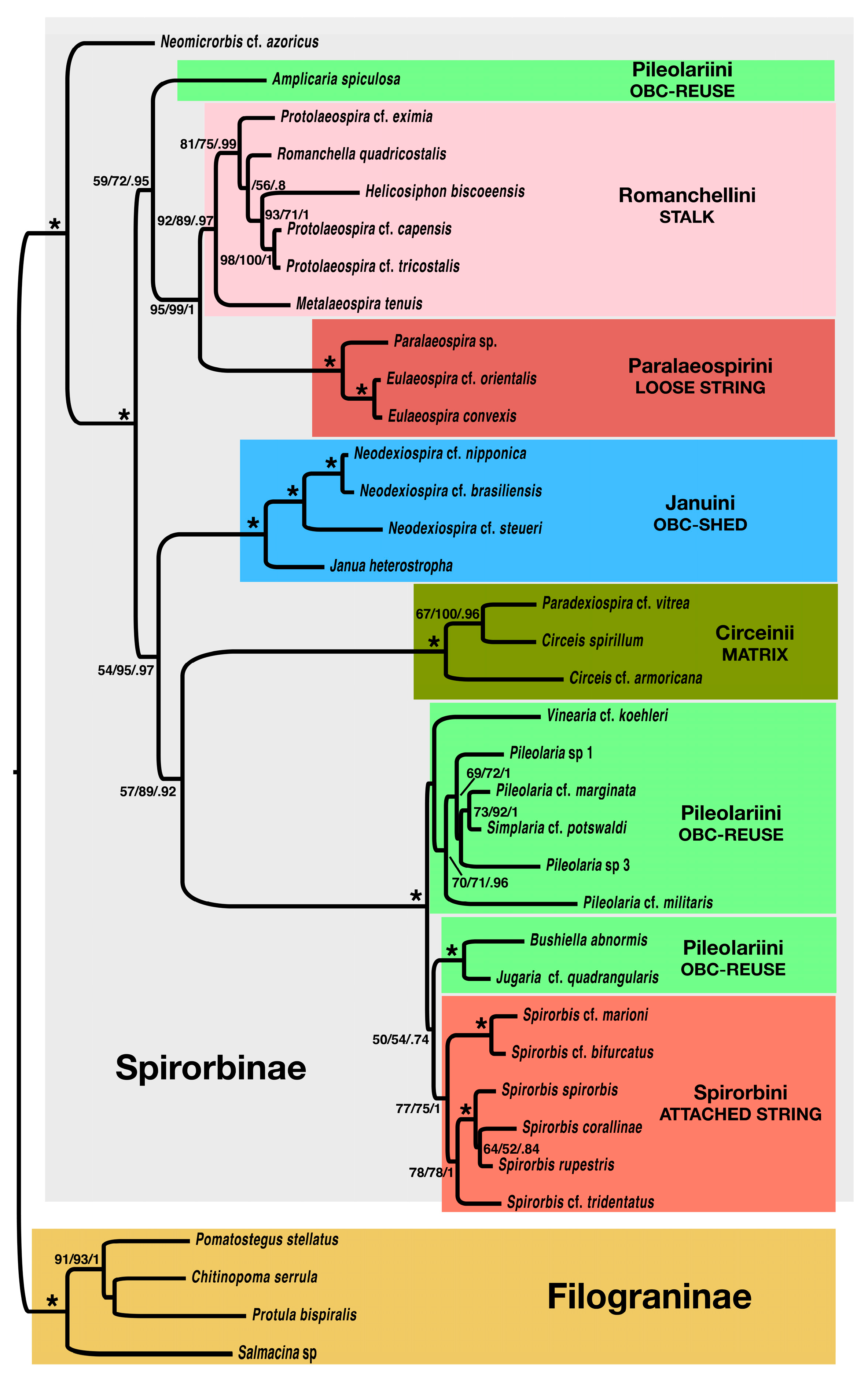 Diversity 16 00237 g003