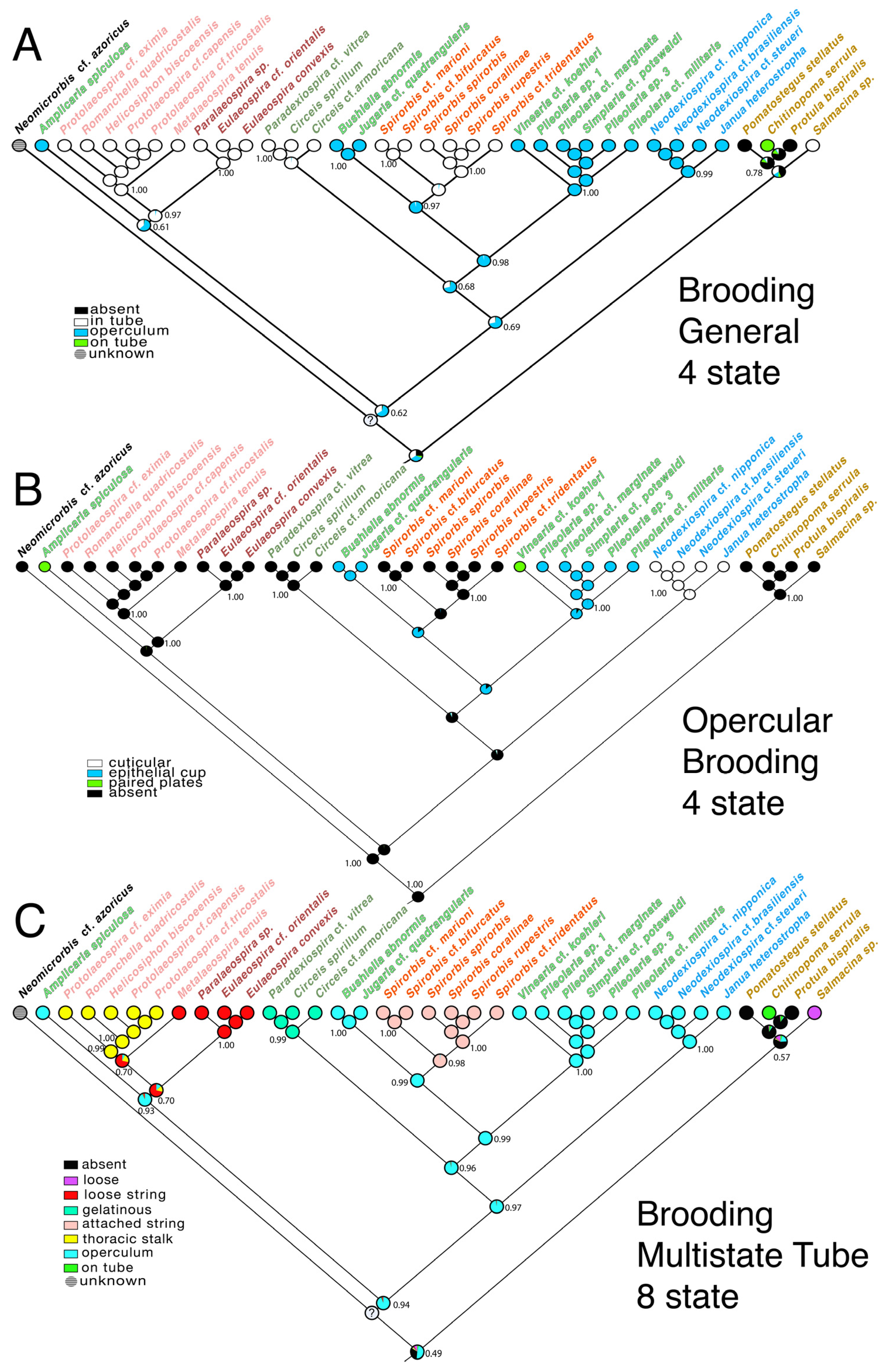 Diversity 16 00237 g004