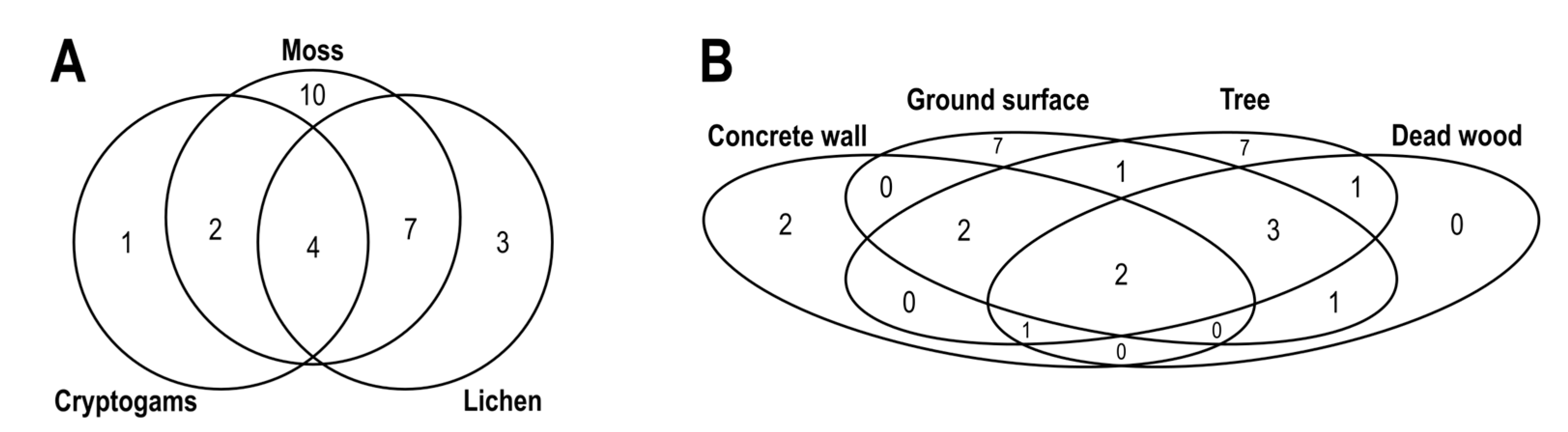 Diversity 16 00239 g004