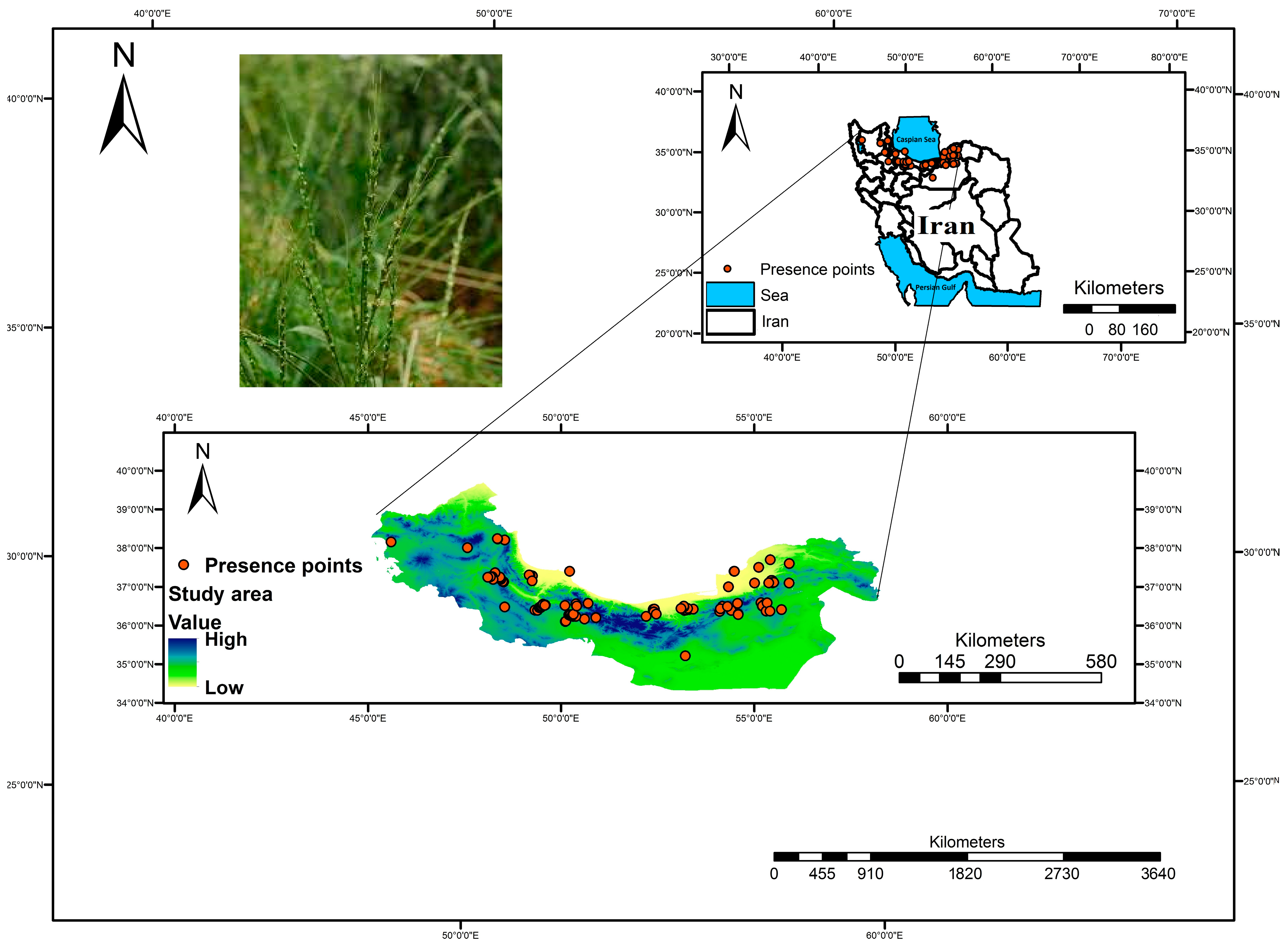 Diversity 16 00241 g001