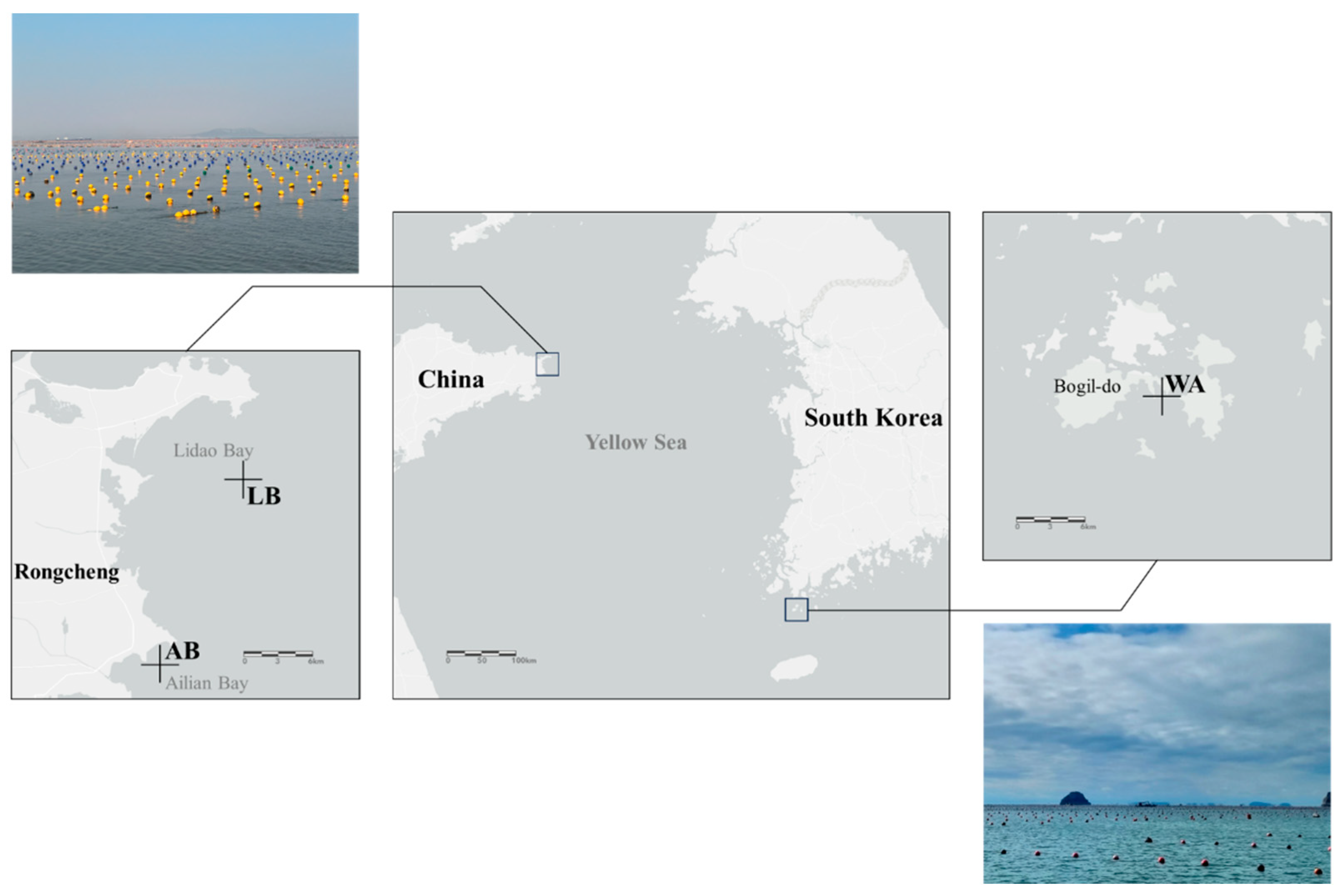 Diversity 16 00245 g001