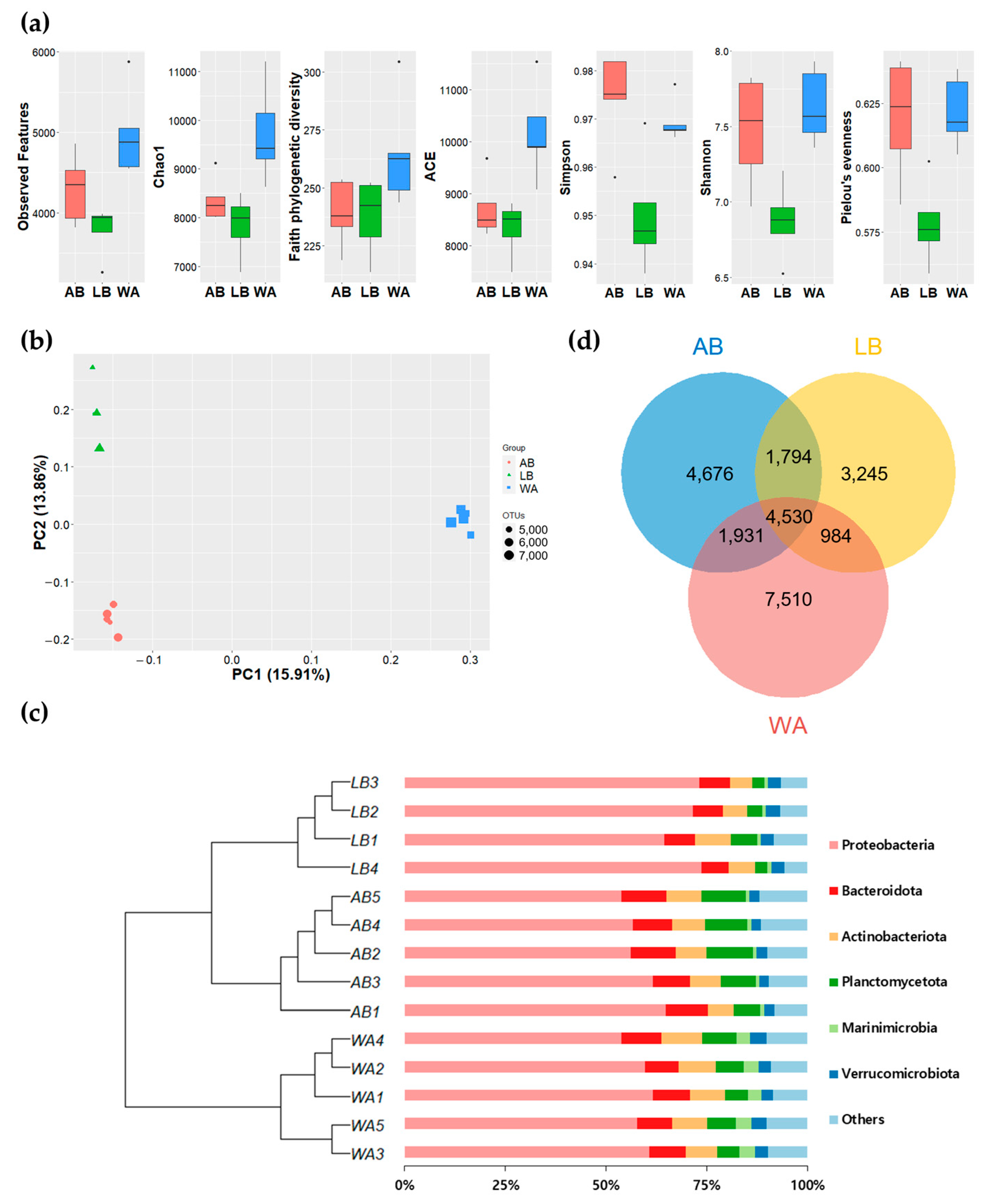 Diversity 16 00245 g003