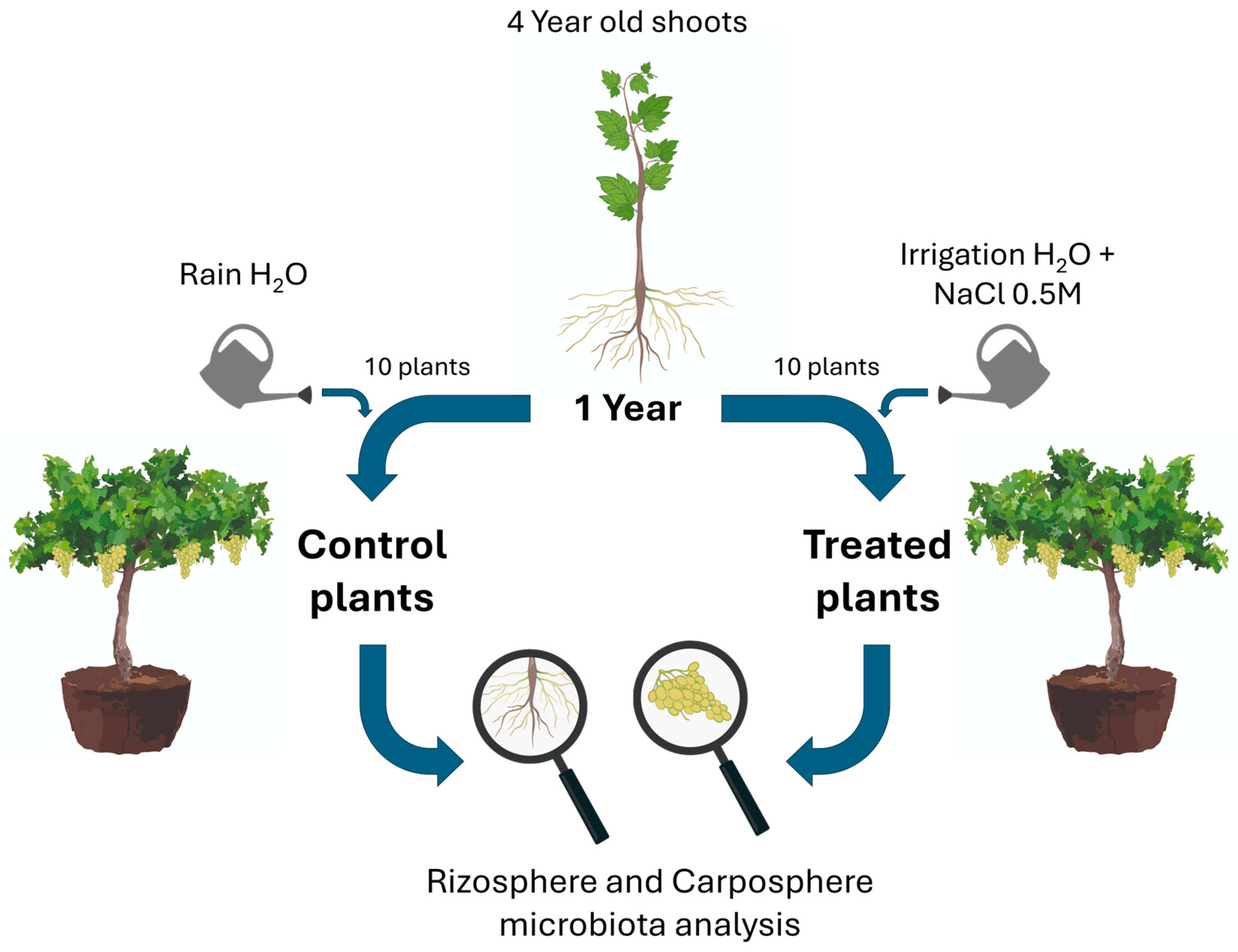 Diversity 16 00247 g001