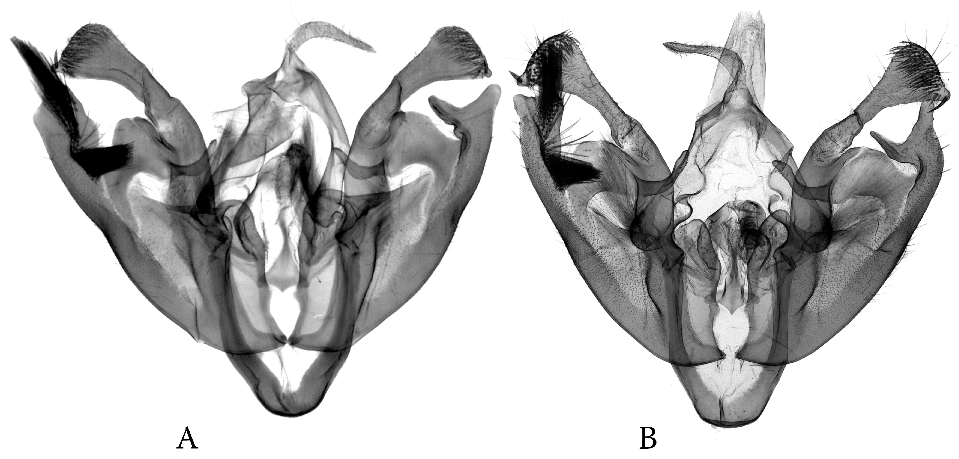 Diversity 16 00248 g007