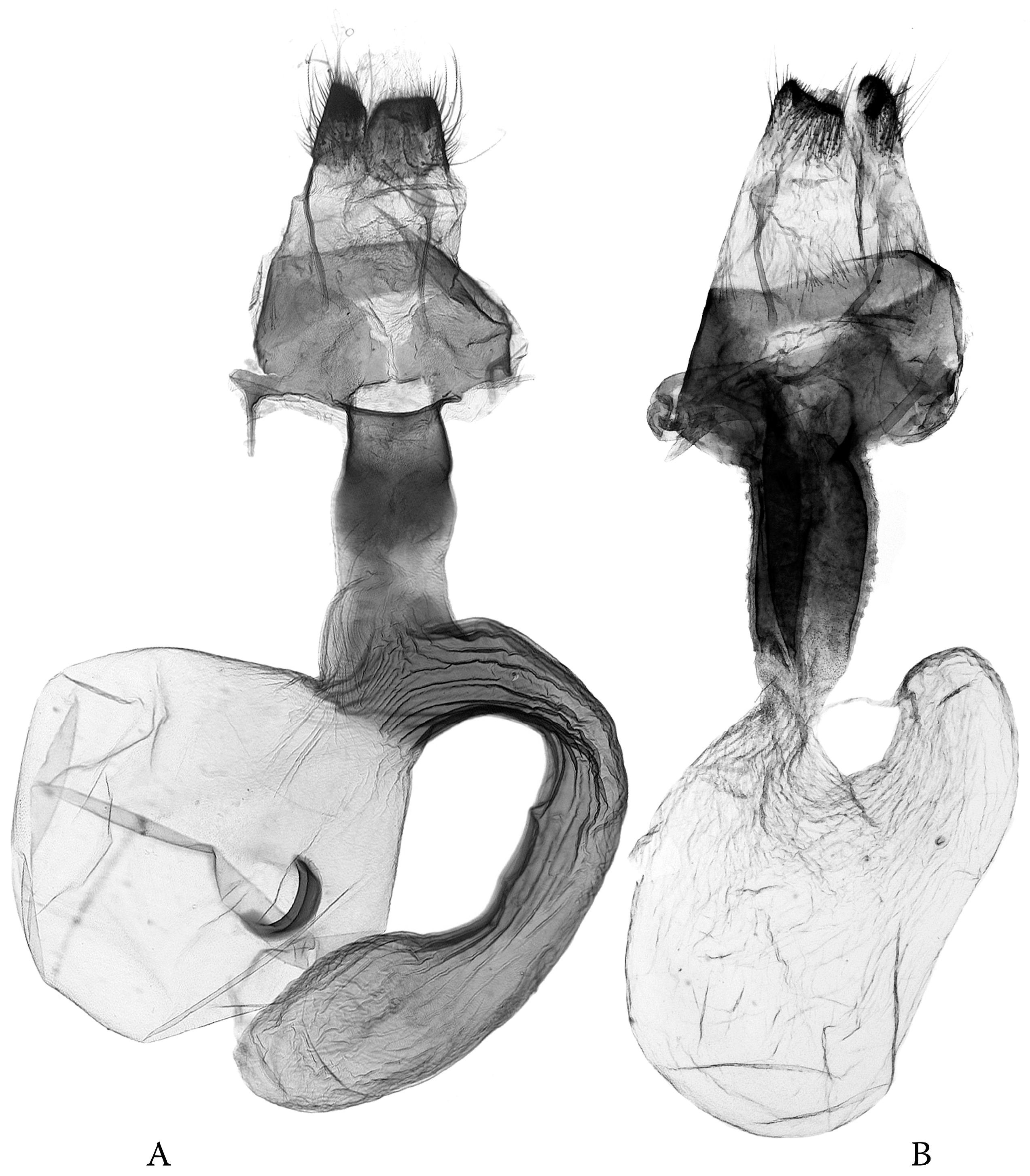 Diversity 16 00248 g012