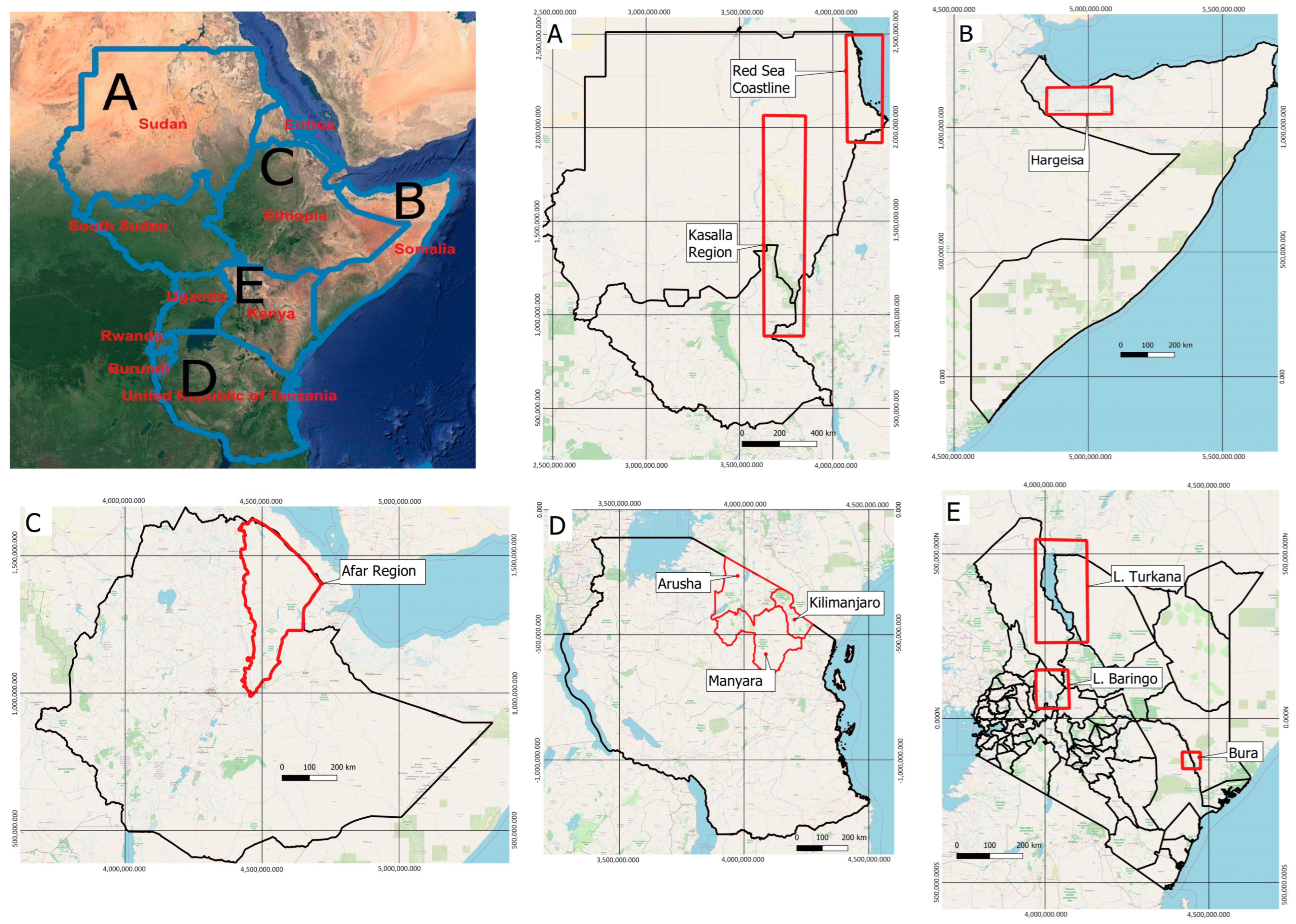 Diversity 16 00251 g001