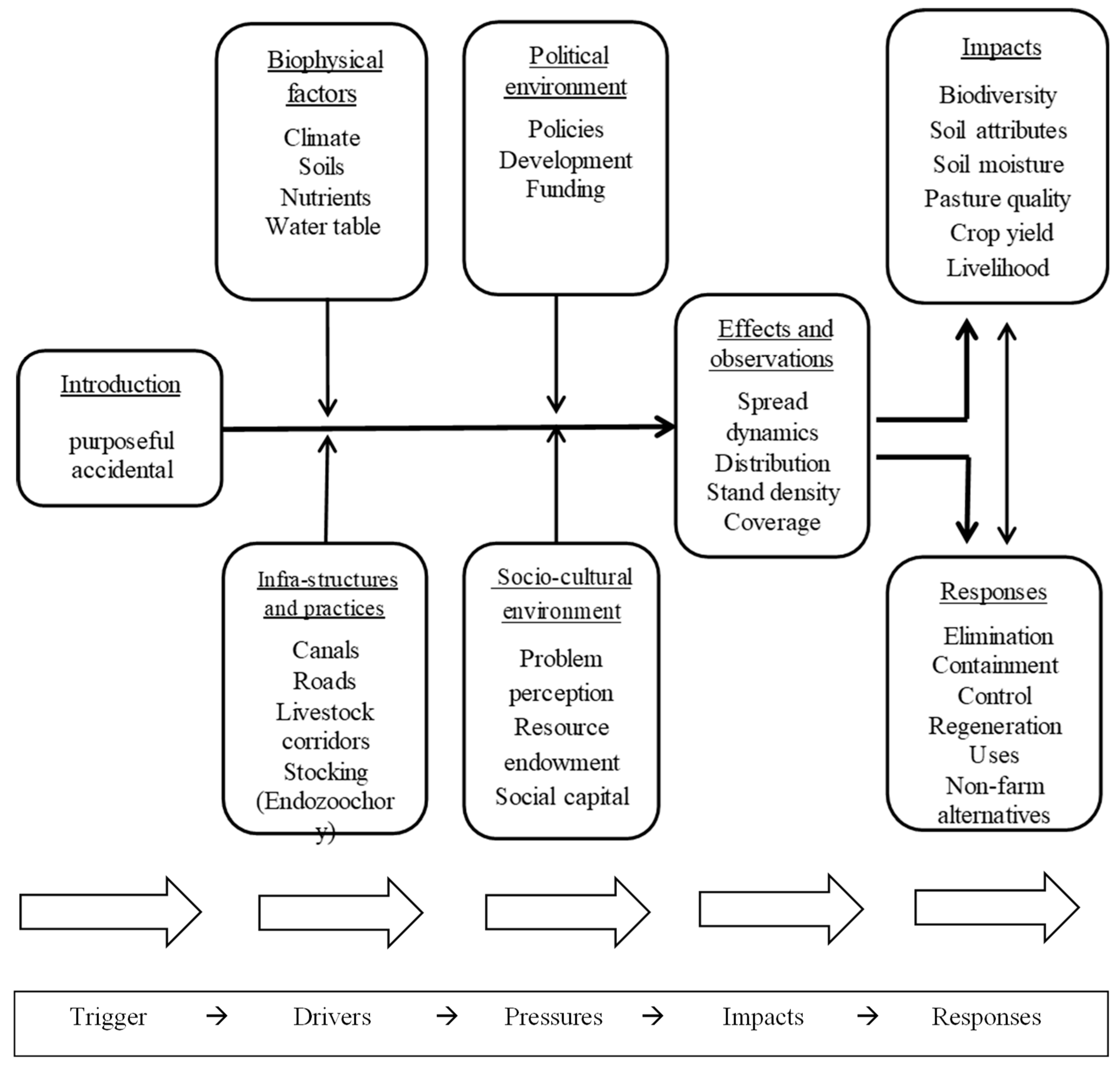 Diversity 16 00251 g004