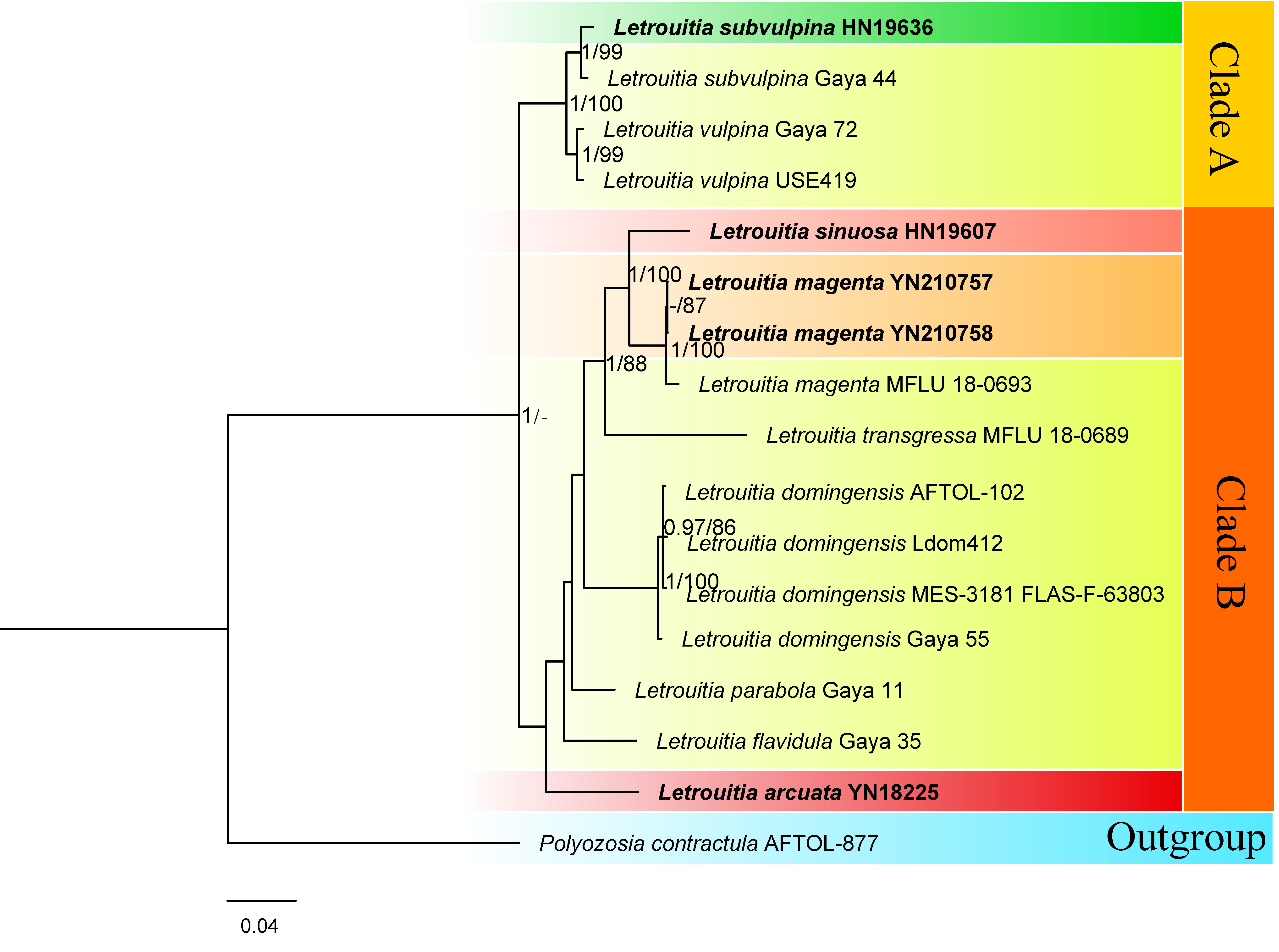 Diversity 16 00254 g001