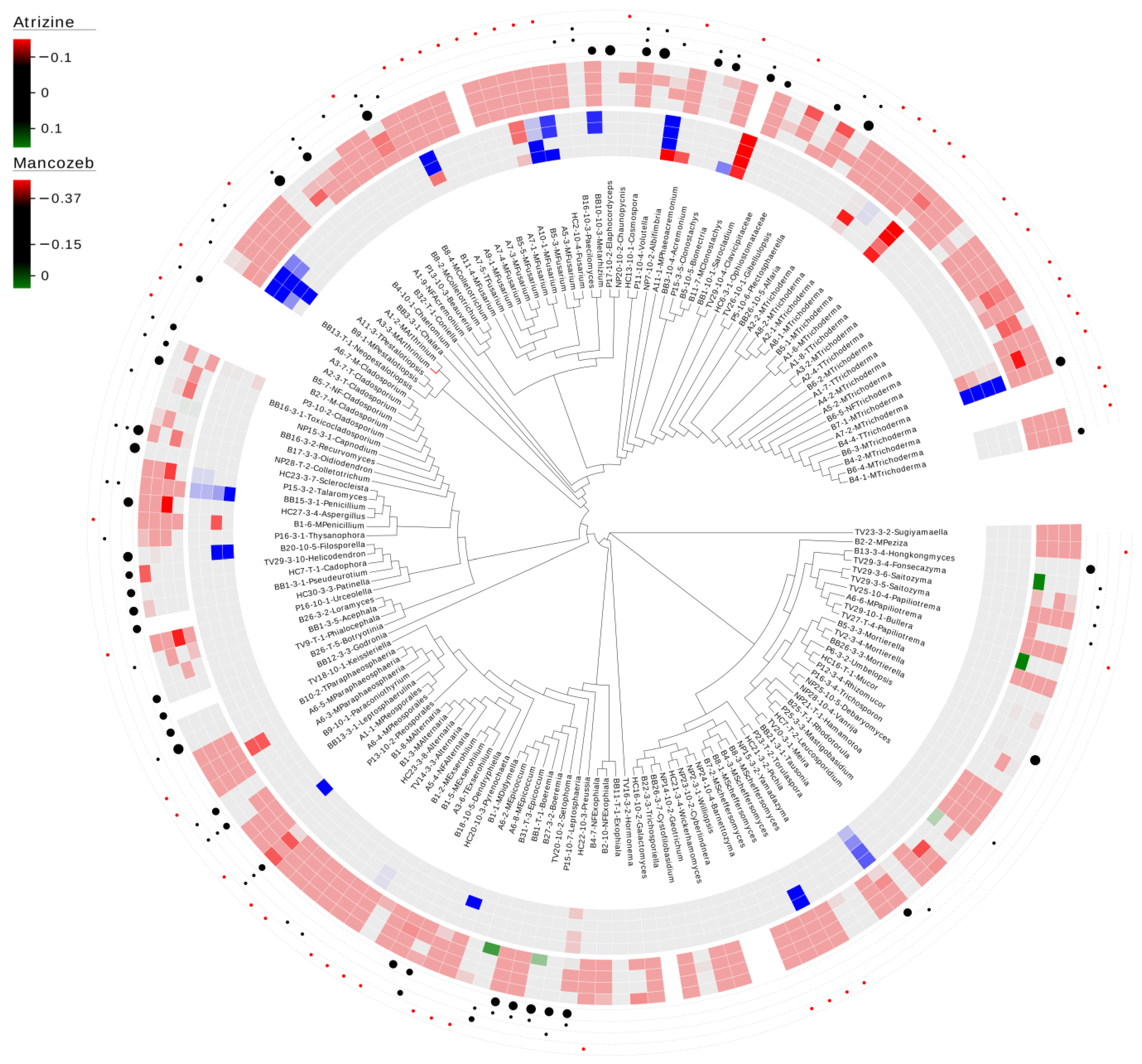 Diversity 16 00255 g001