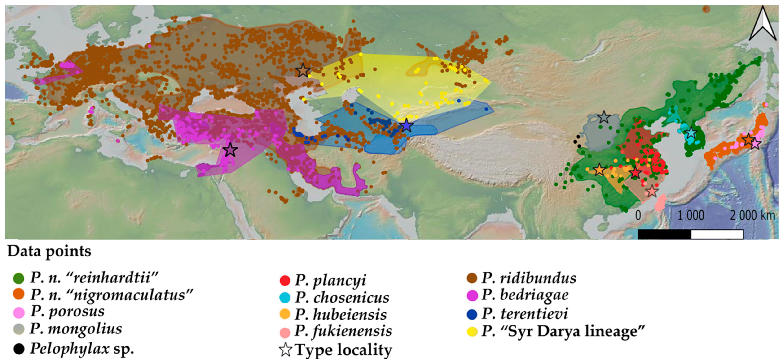 Diversity 16 00259 g001