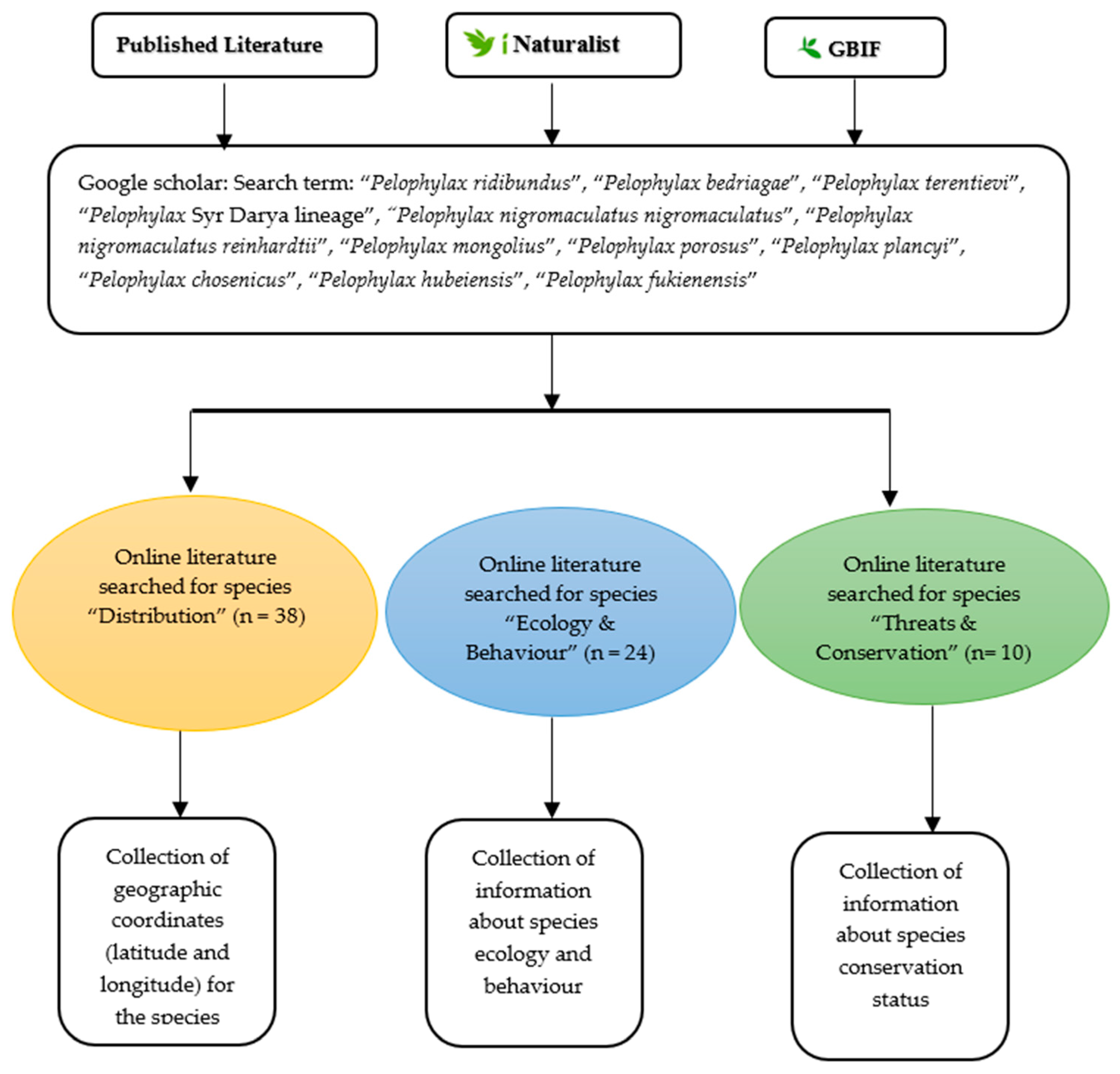 Diversity 16 00259 g002