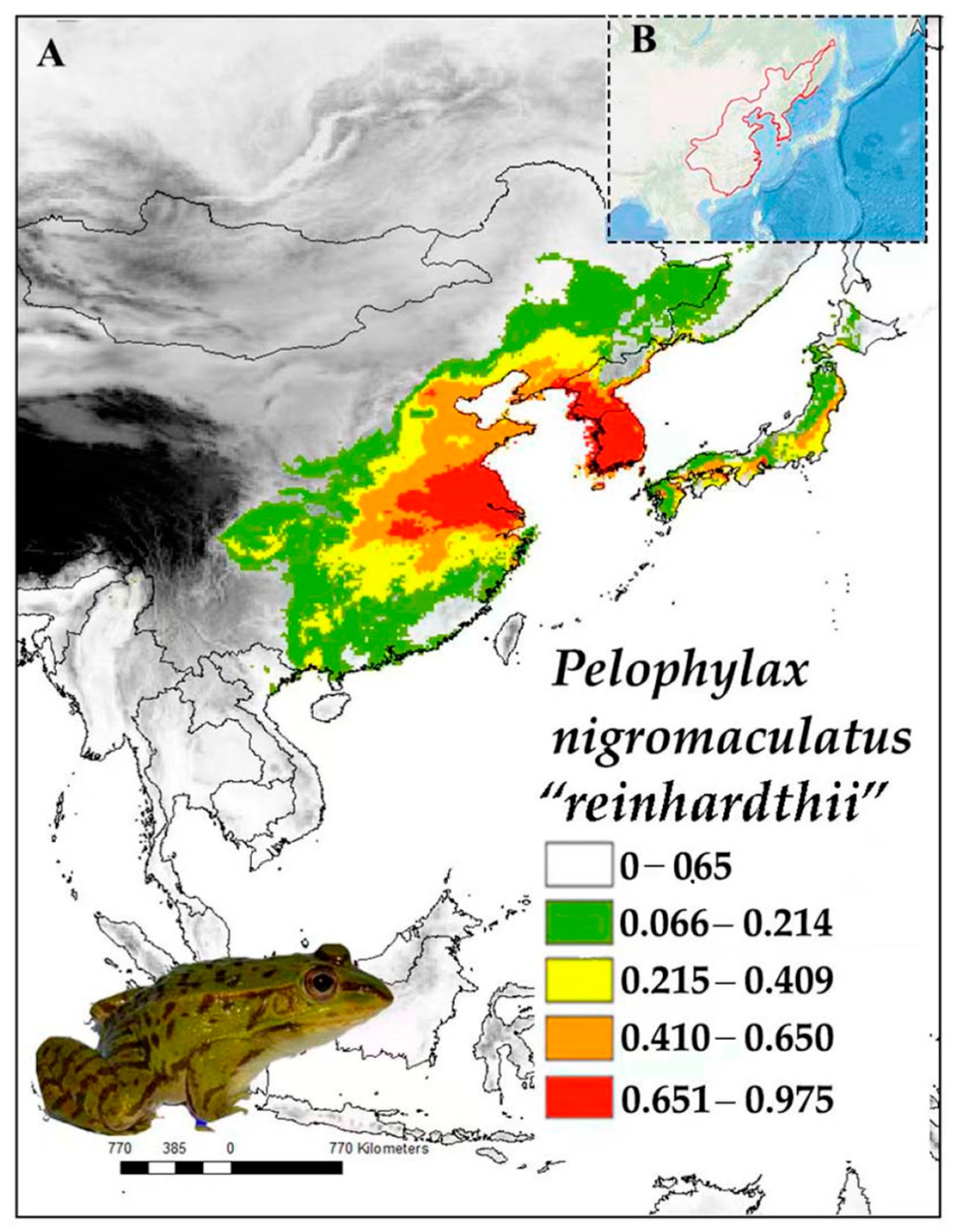 Diversity 16 00259 g004