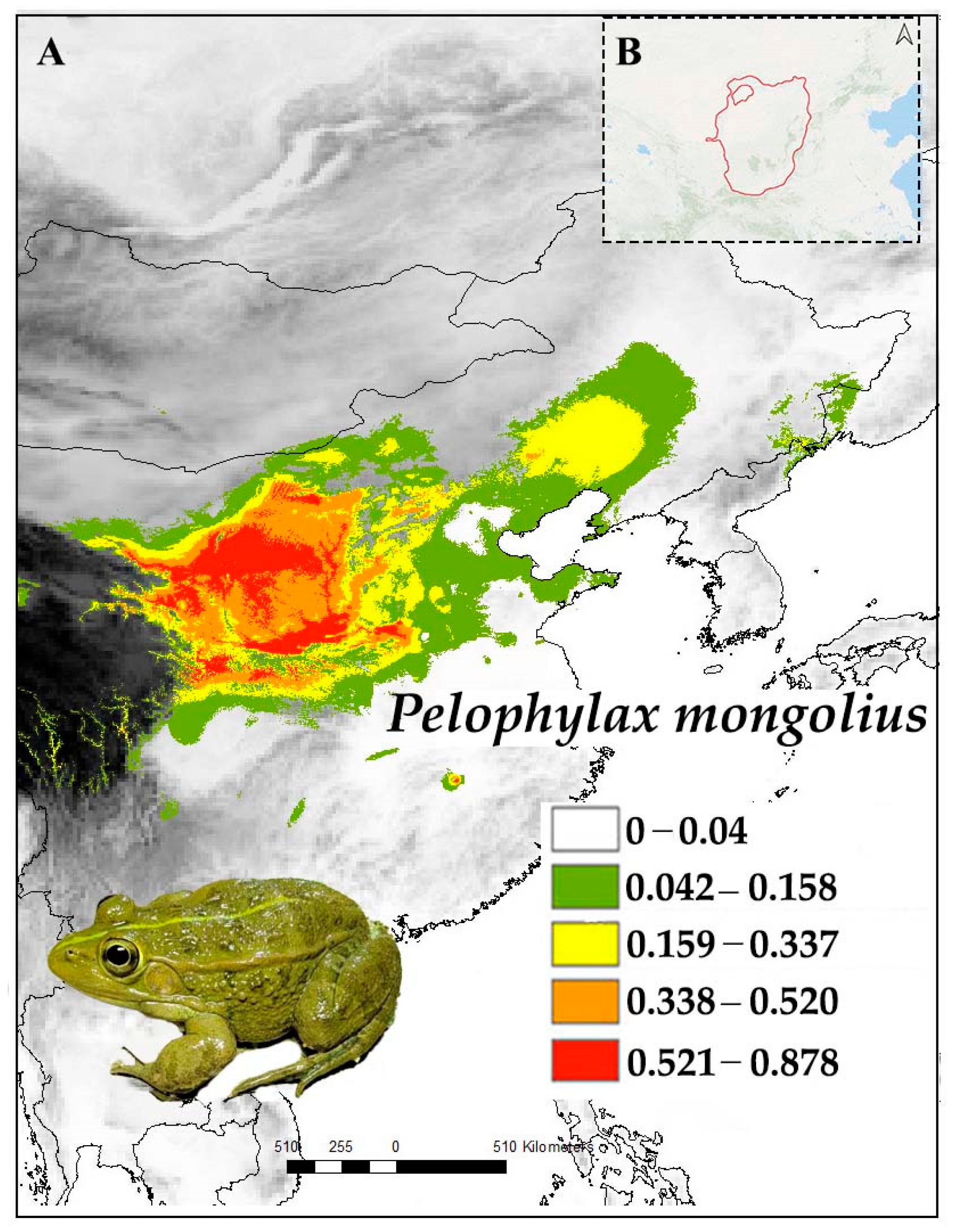 Diversity 16 00259 g006