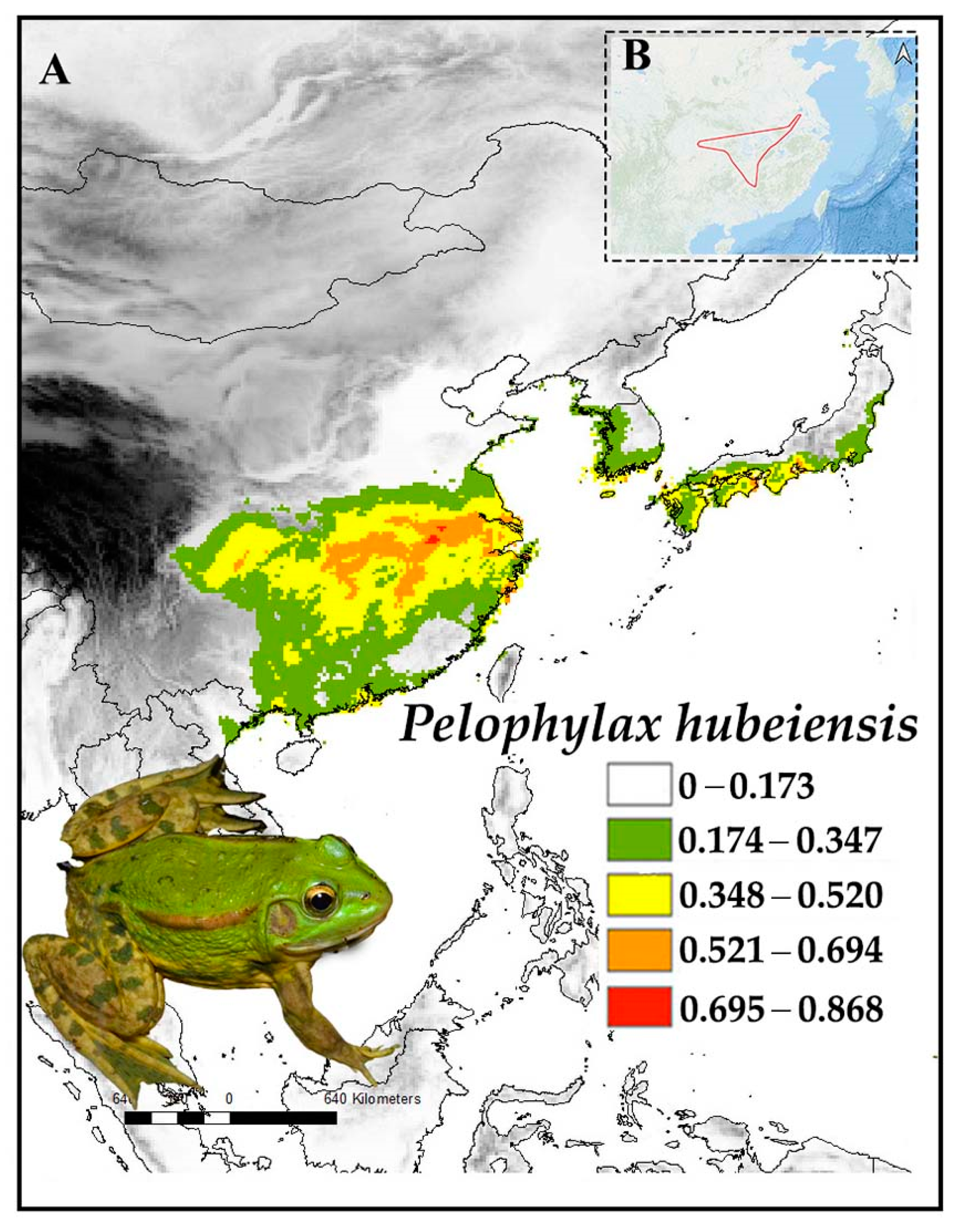 Diversity 16 00259 g009