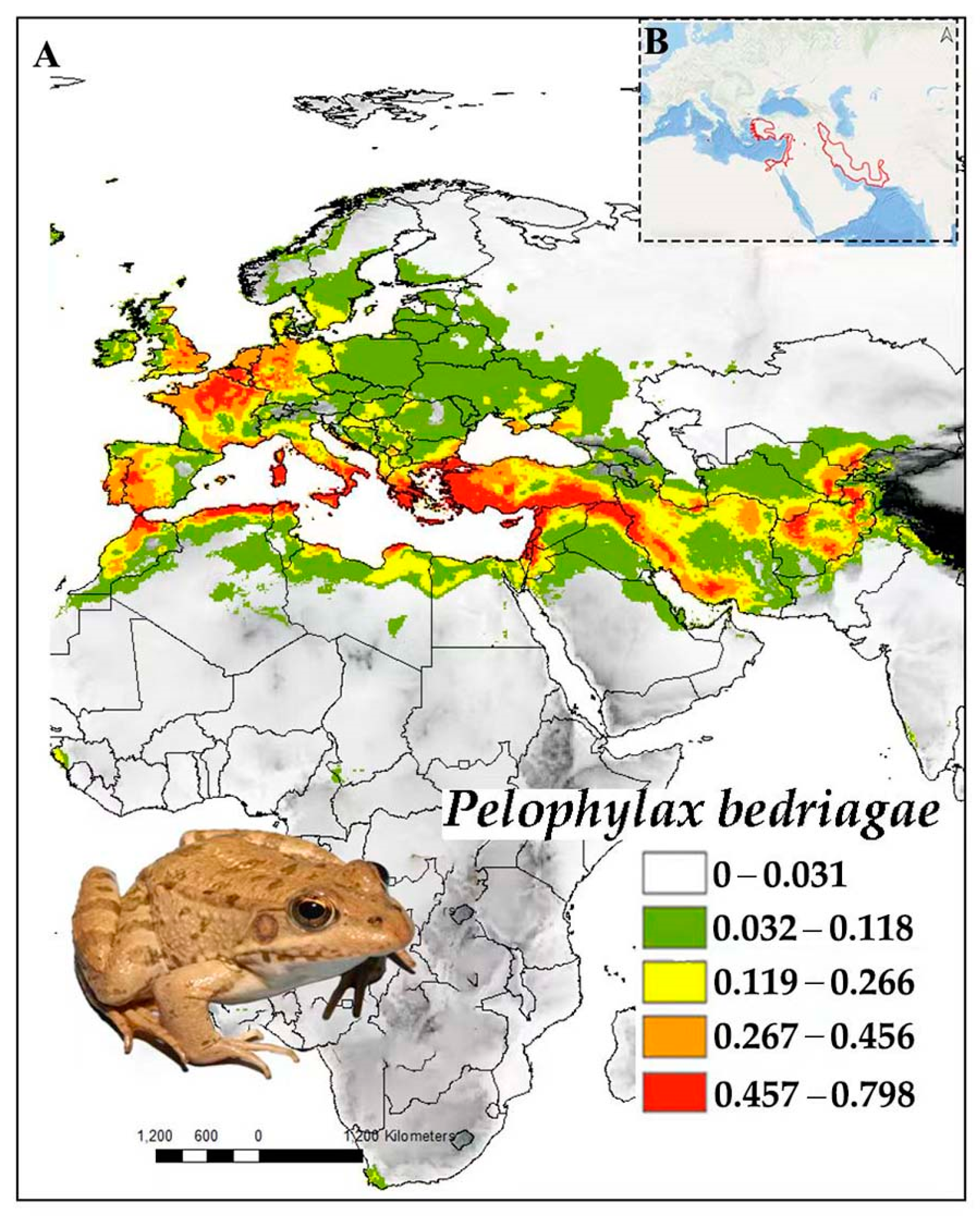Diversity 16 00259 g012