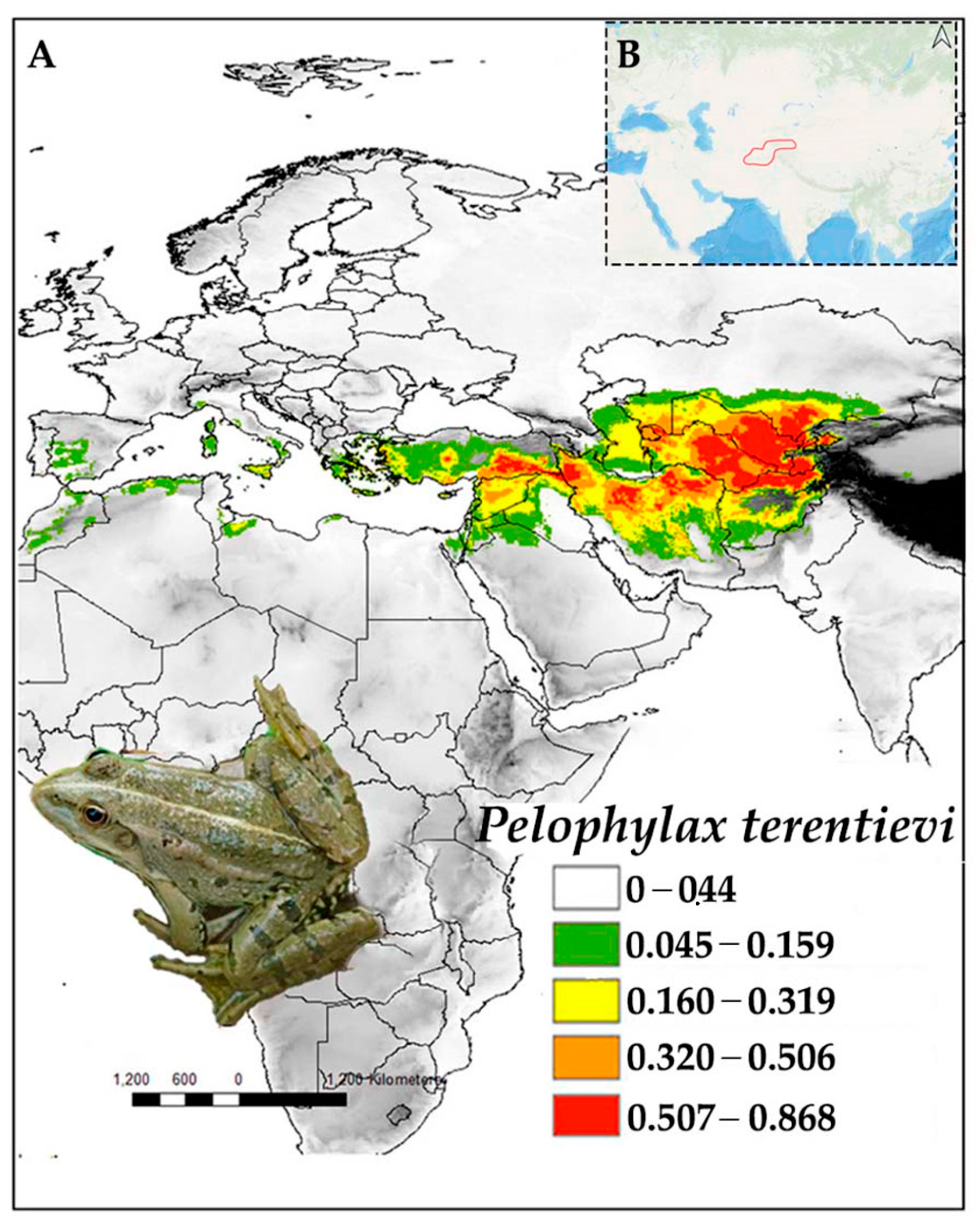 Diversity 16 00259 g013