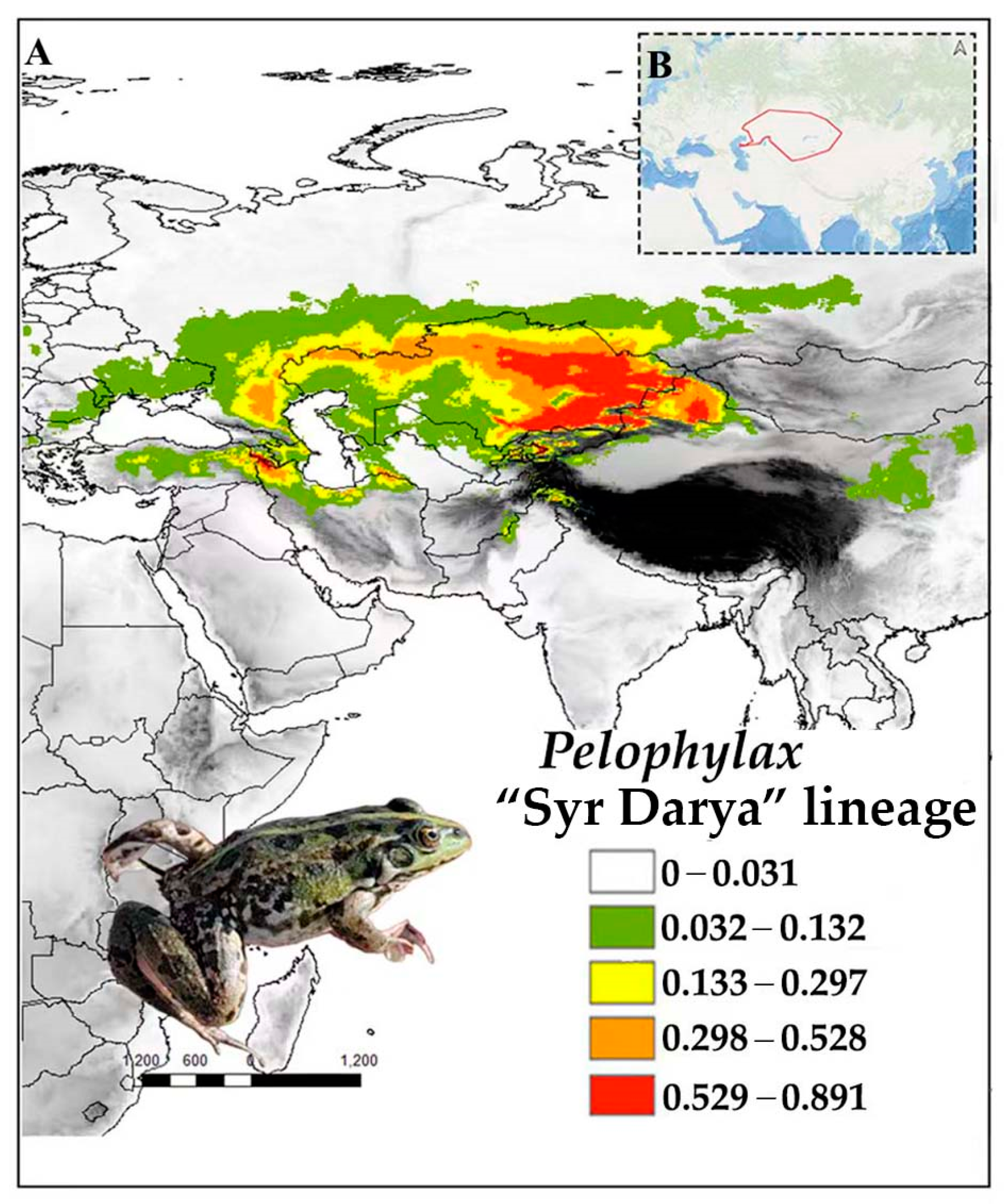 Diversity 16 00259 g014