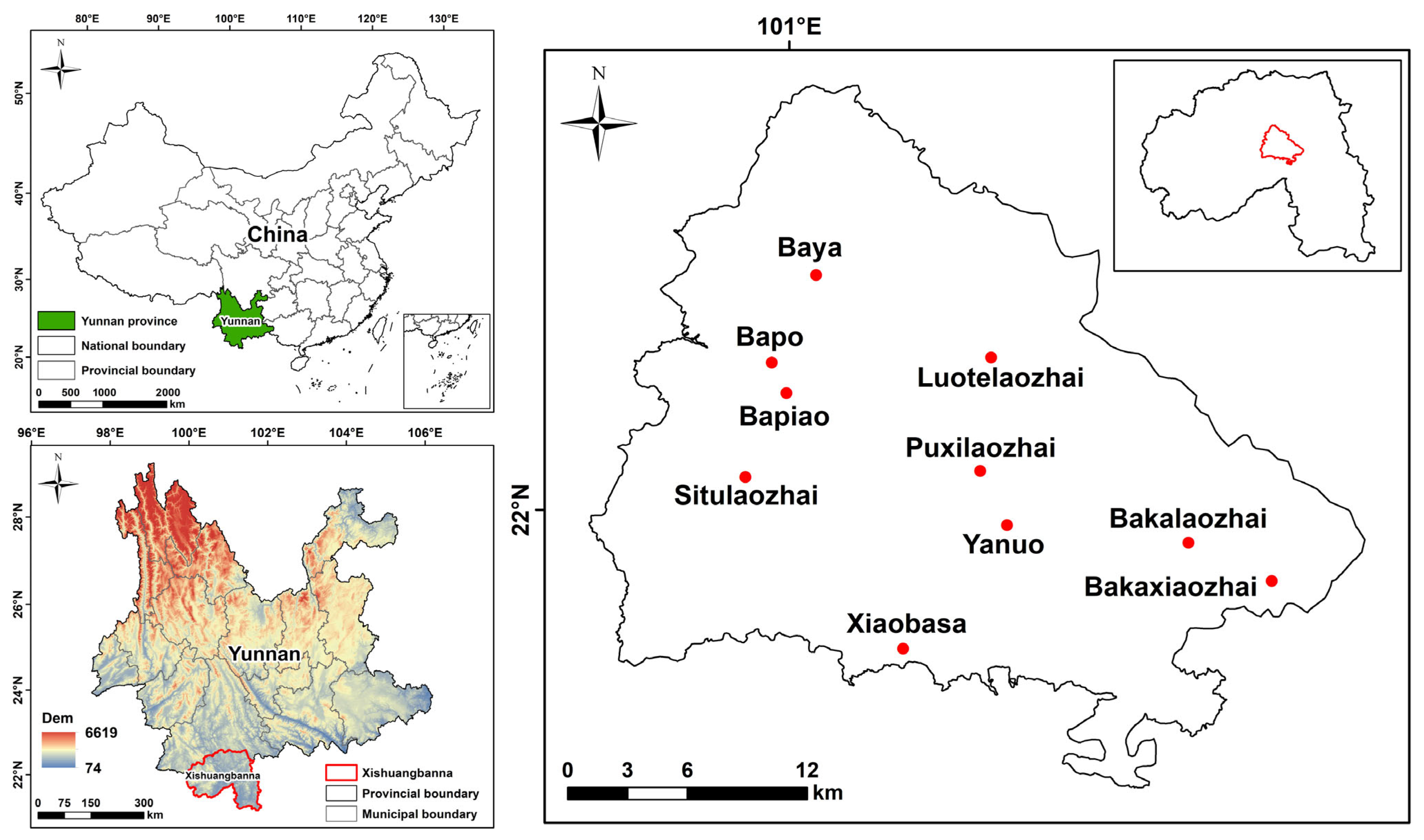 Diversity 16 00260 g001 Diversity 16 00260 g001