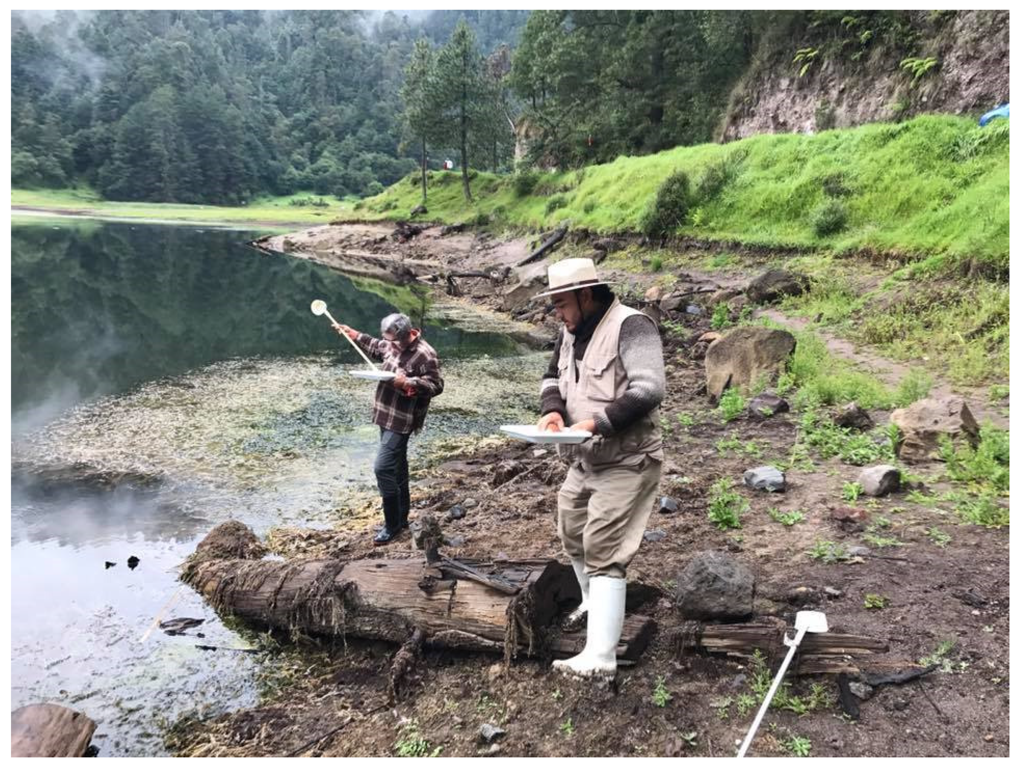 Diversity 16 00261 g009 Diversity 16 00261 g009