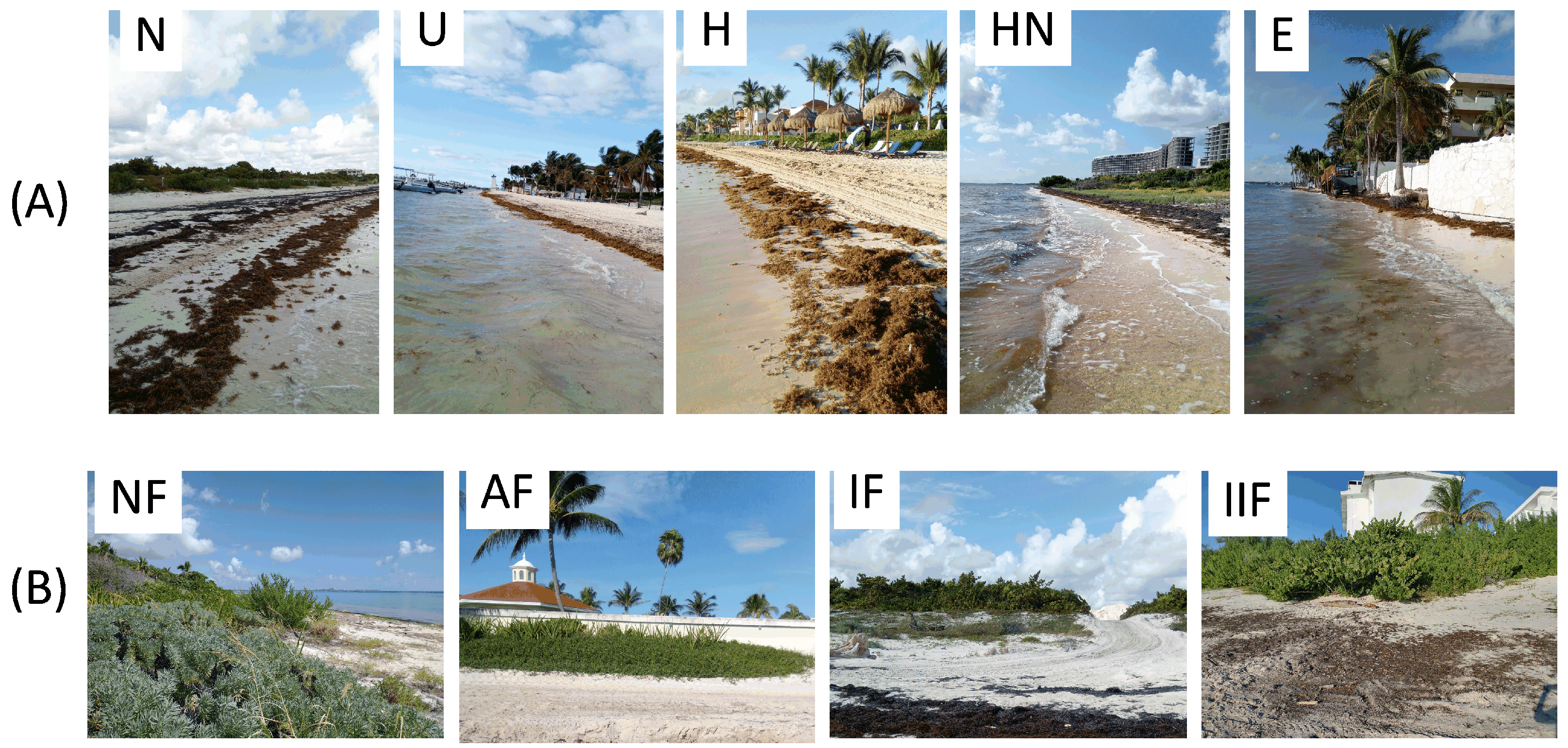 Diversity 16 00266 g002