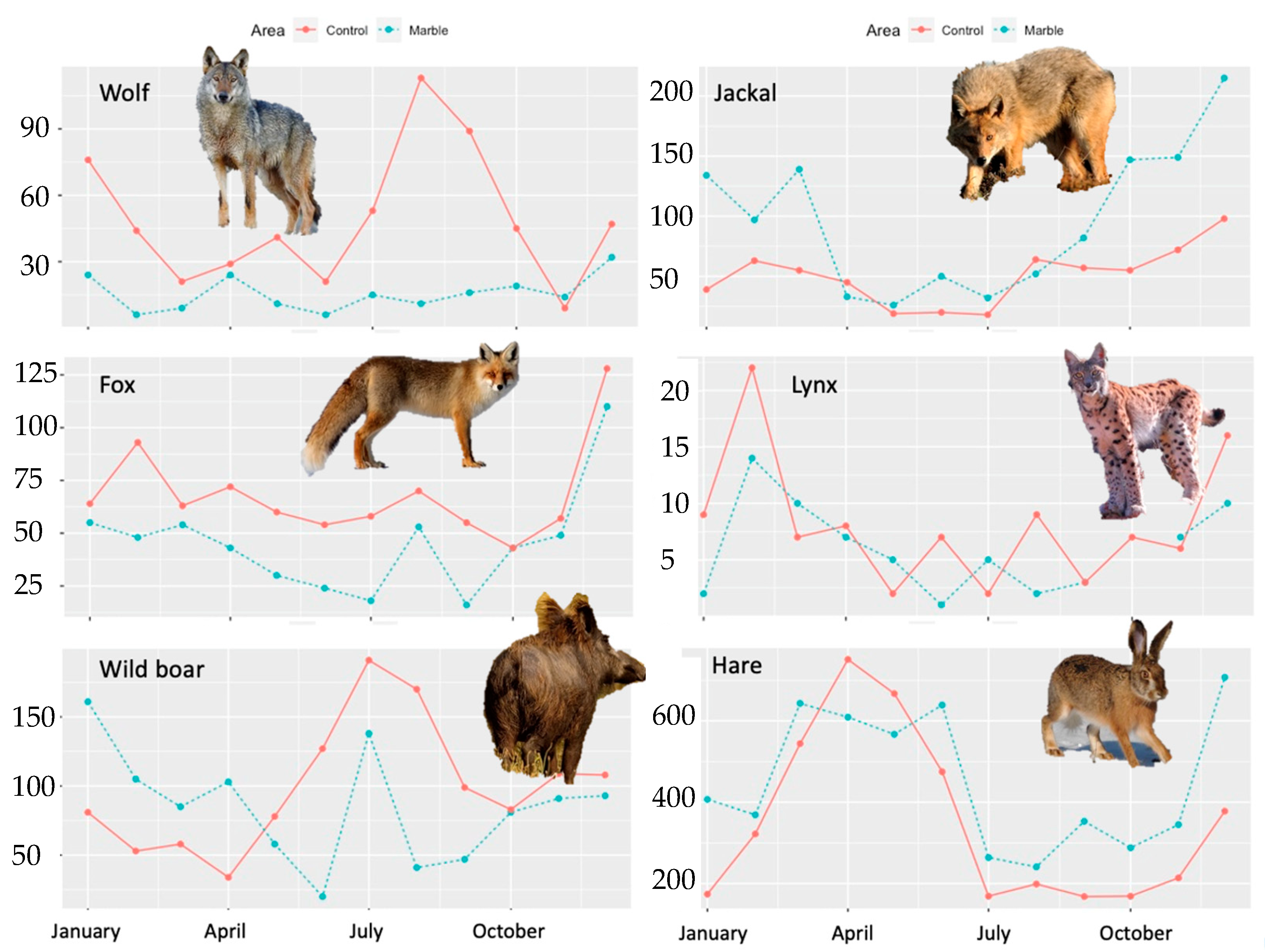Diversity 16 00267 g003