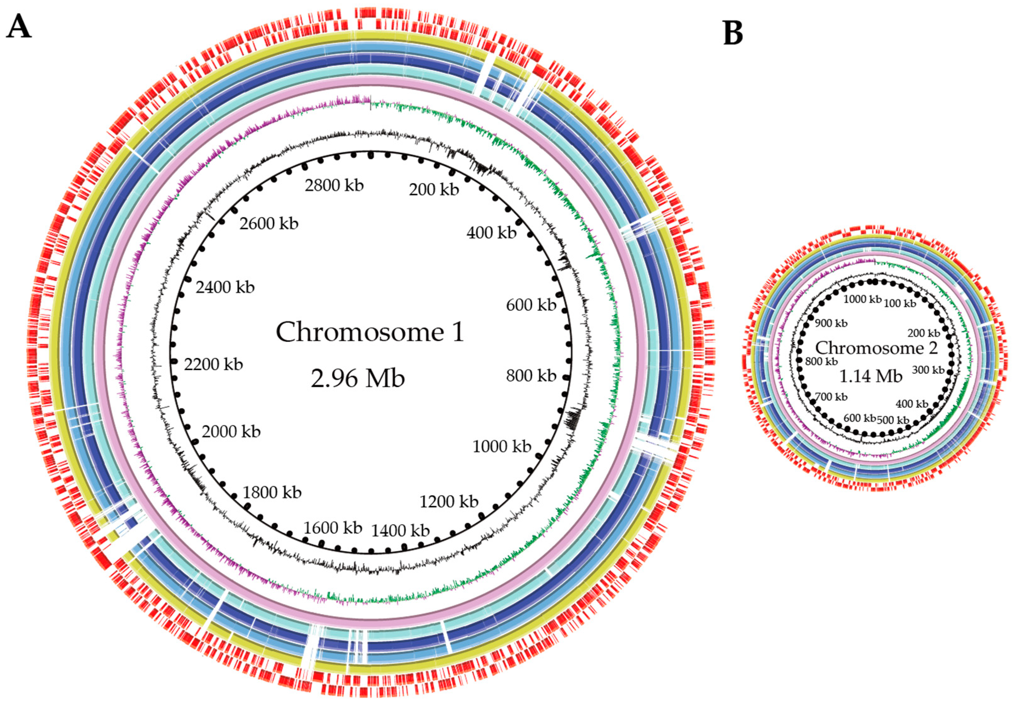 Diversity 16 00268 g003