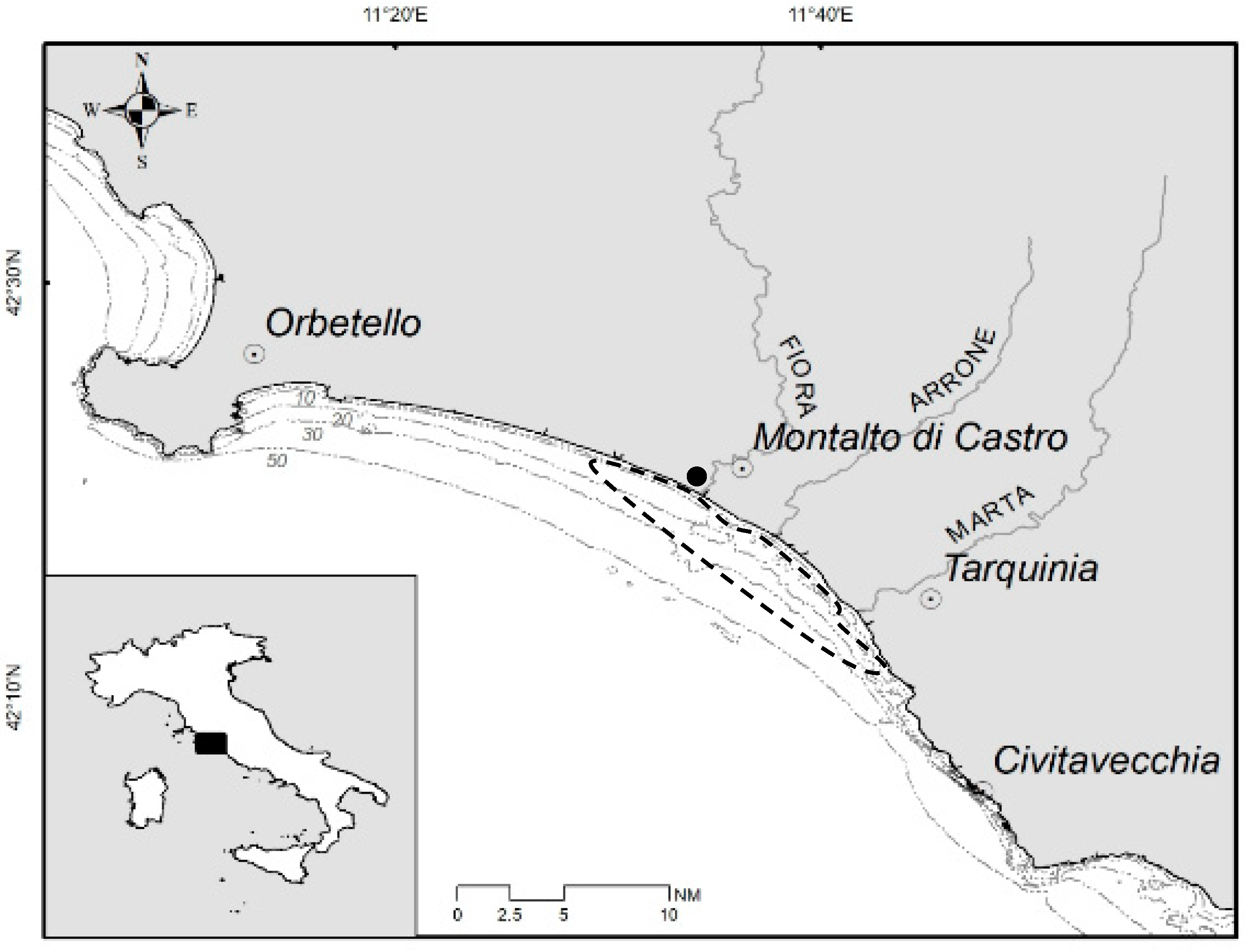 Diversity 16 00271 g001
