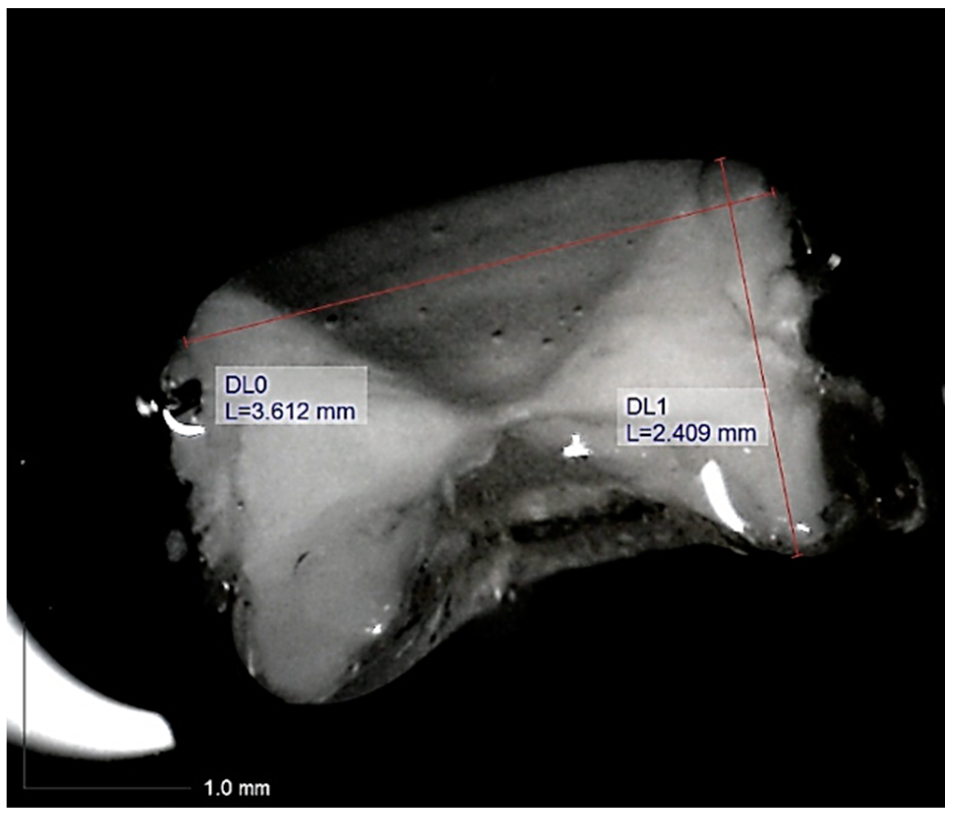 Diversity 16 00271 g002