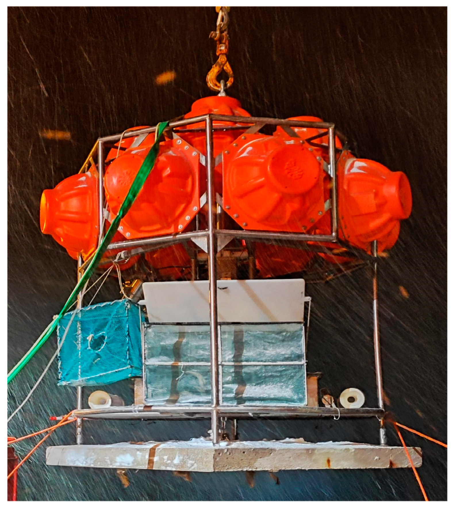 Diversity 16 00277 g002