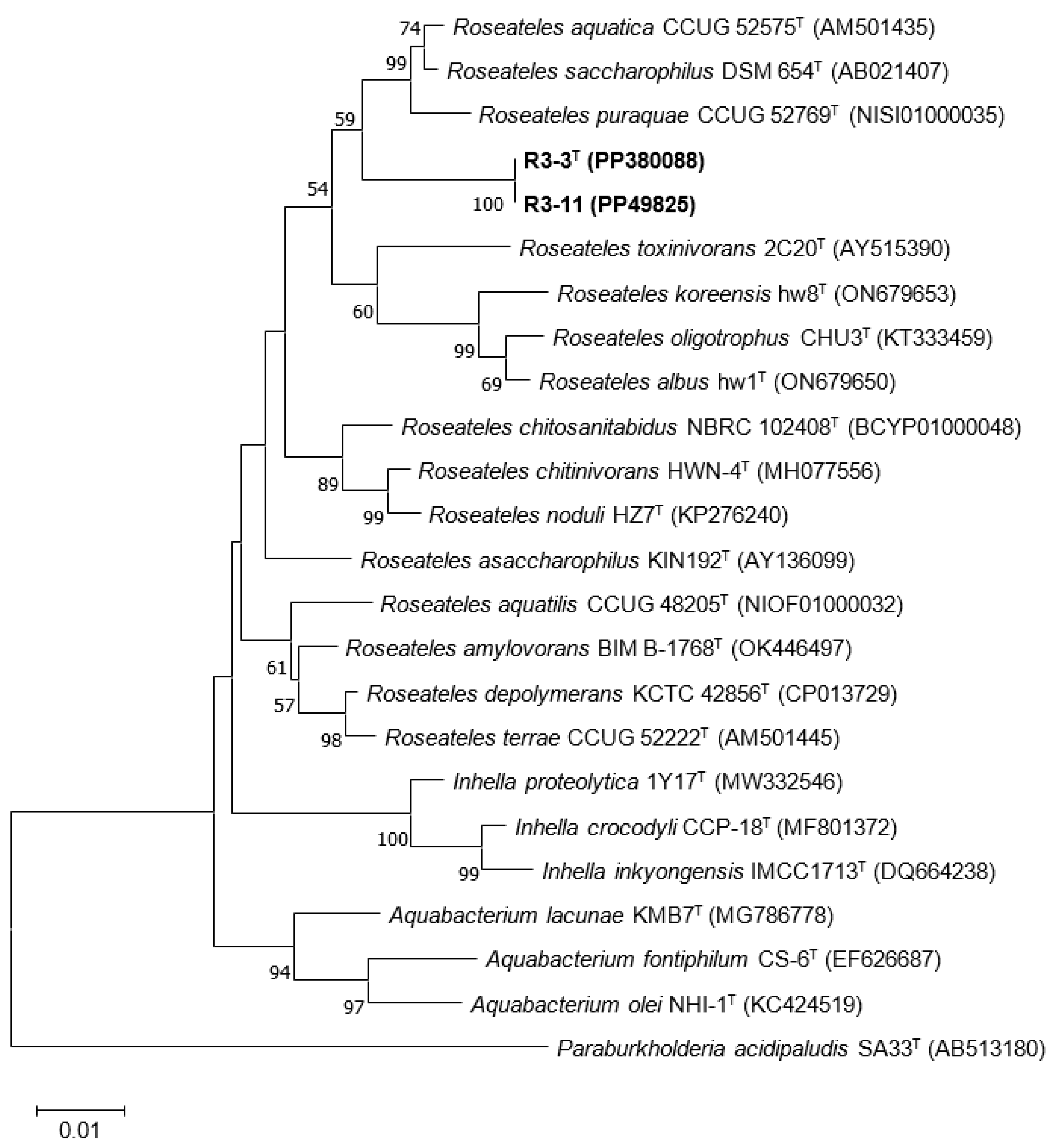Diversity 16 00279 g002