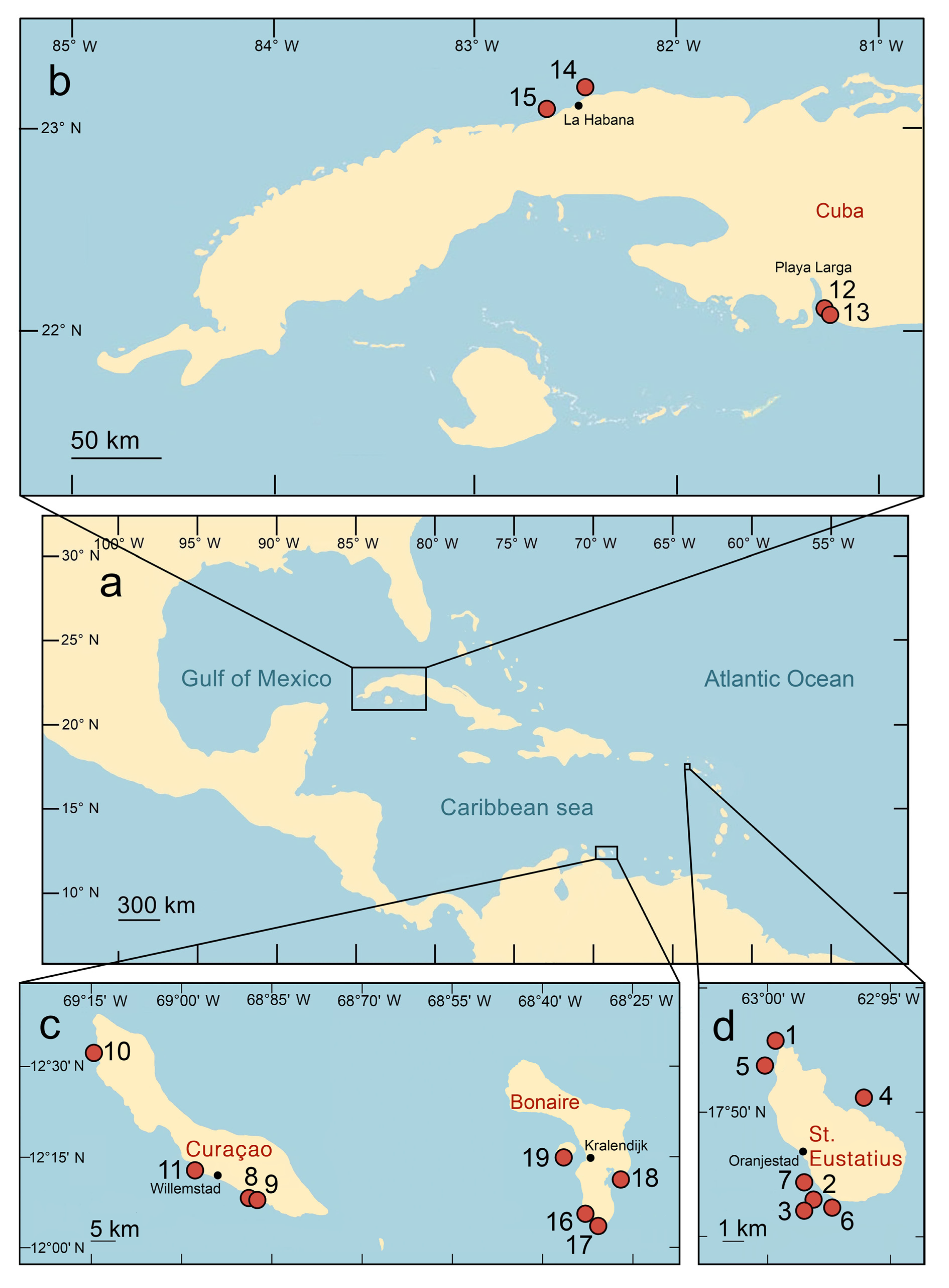 Diversity 16 00280 g001