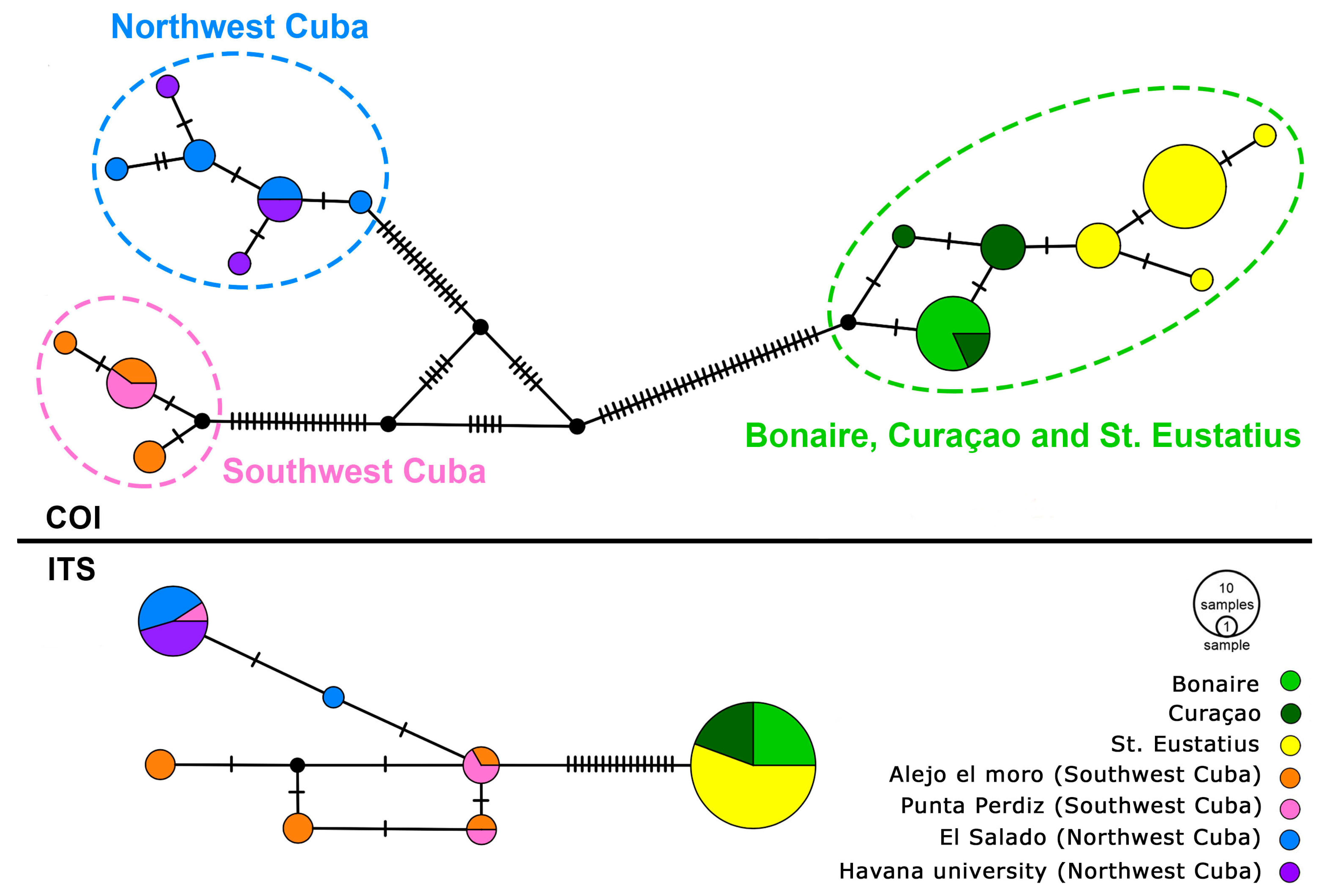 Diversity 16 00280 g004