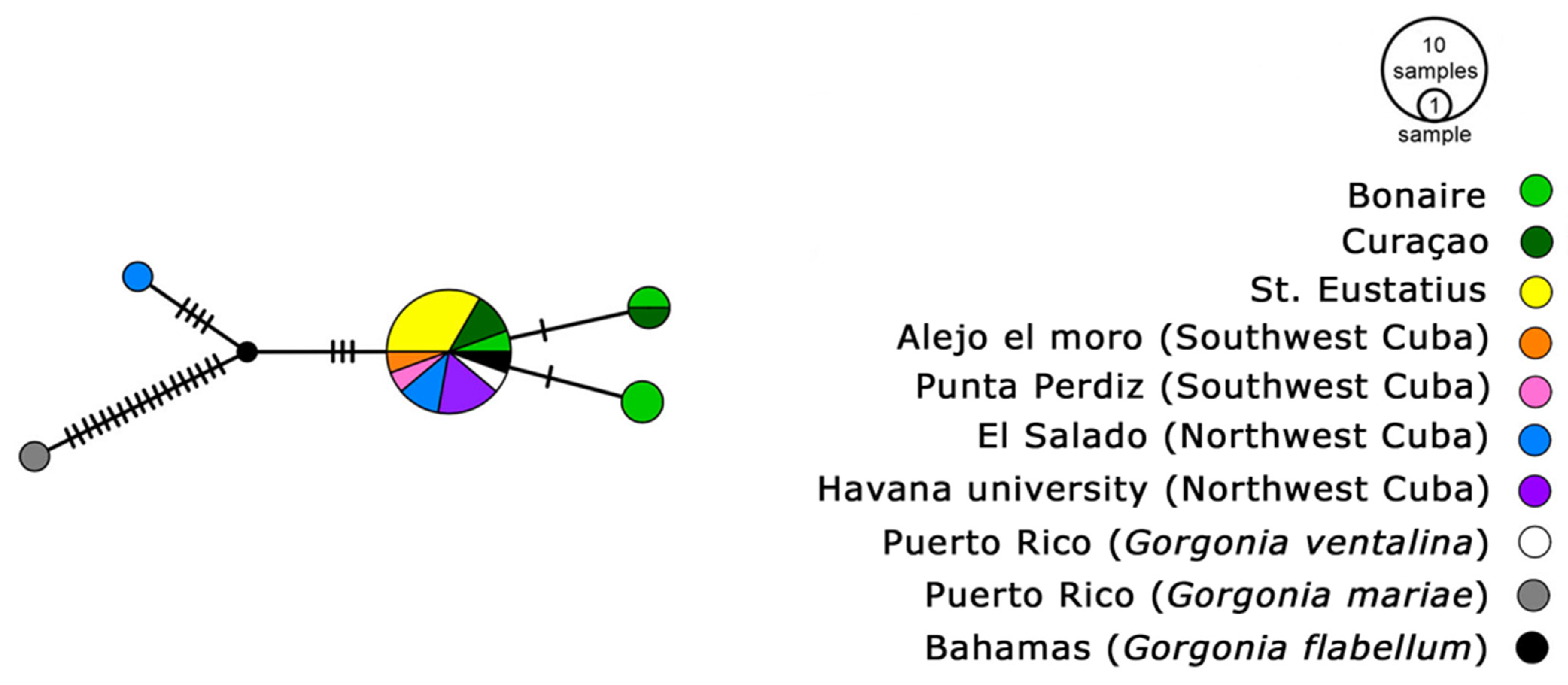 Diversity 16 00280 g005