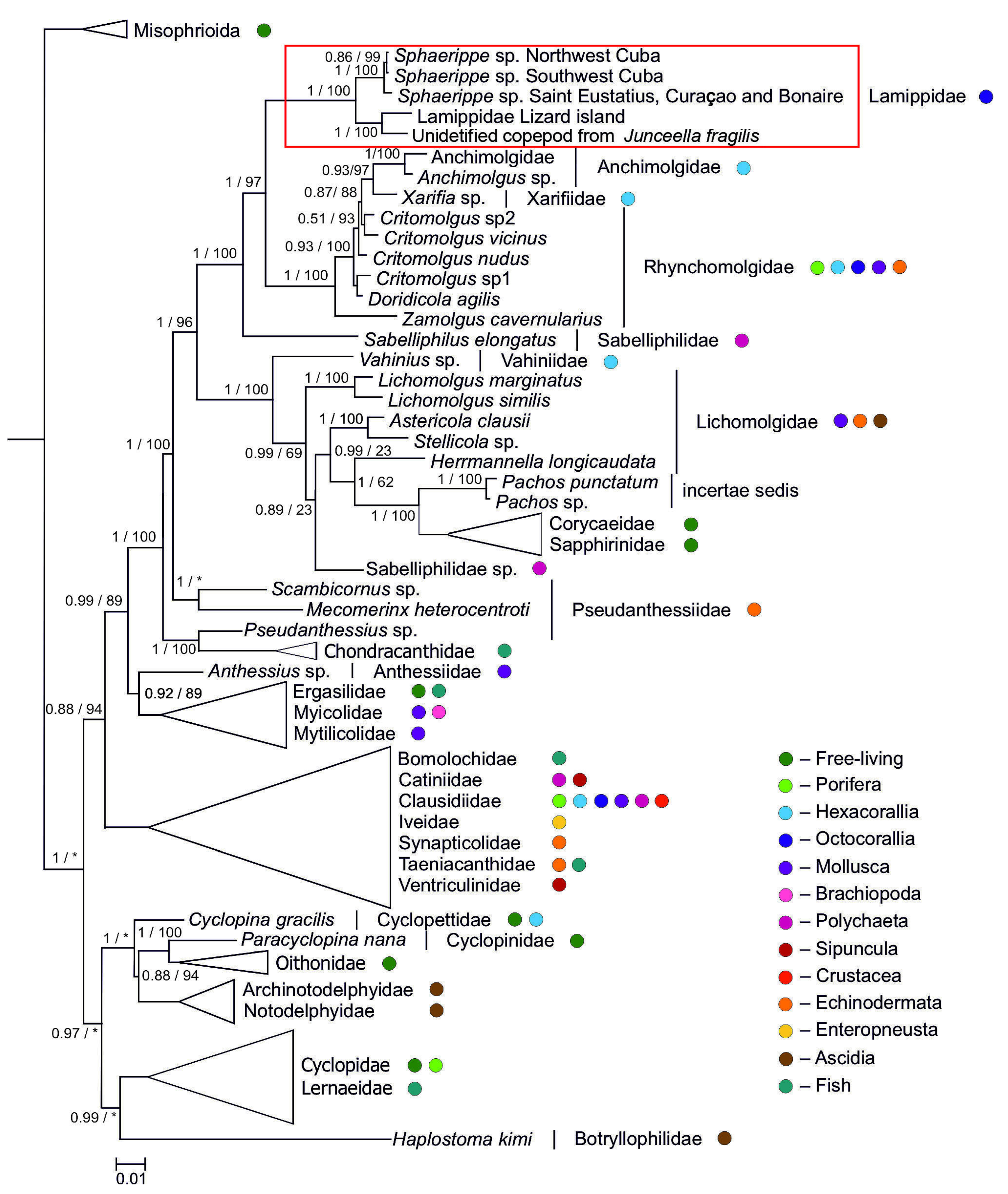 Diversity 16 00280 g006