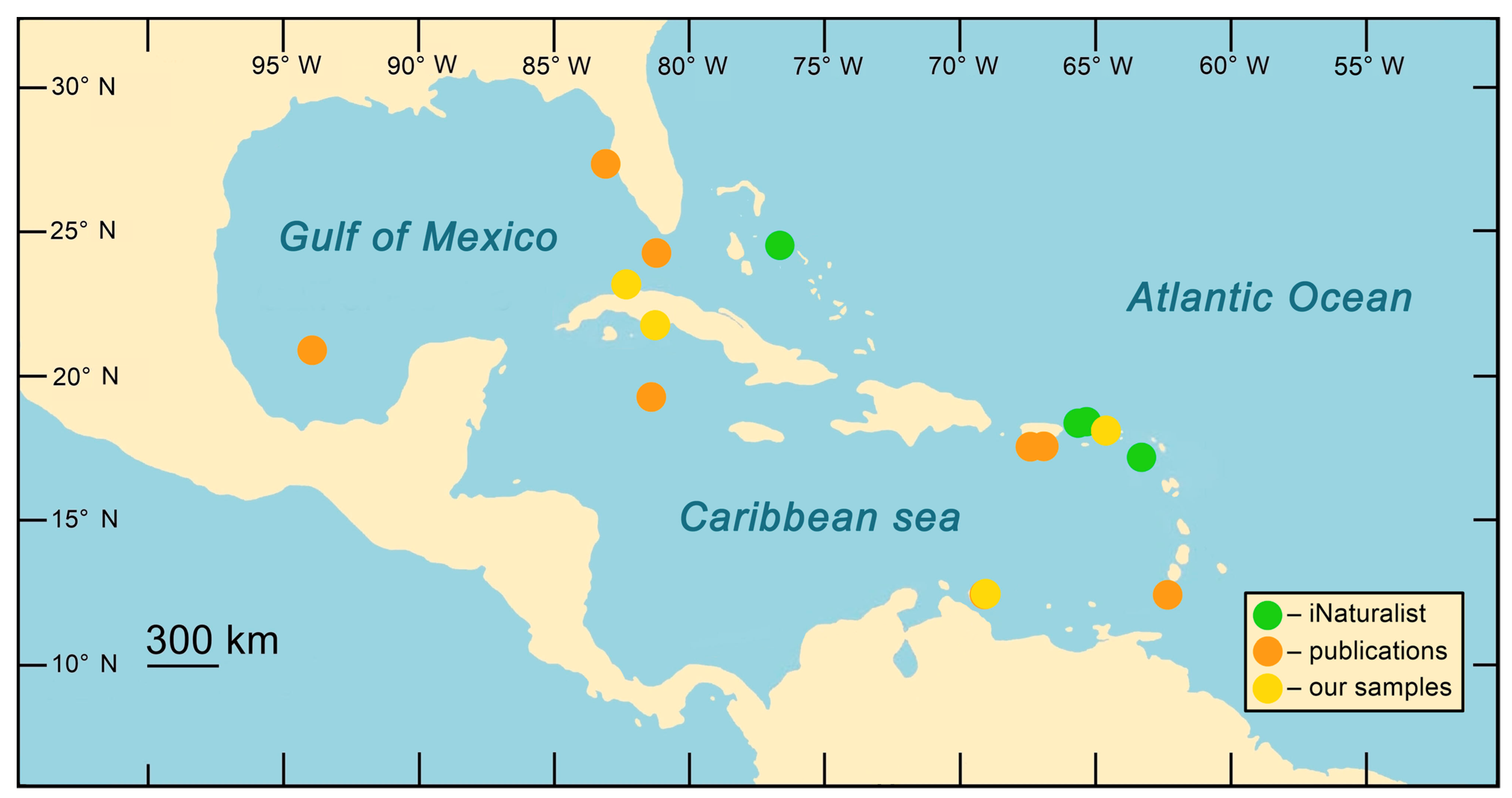 Diversity 16 00280 g007