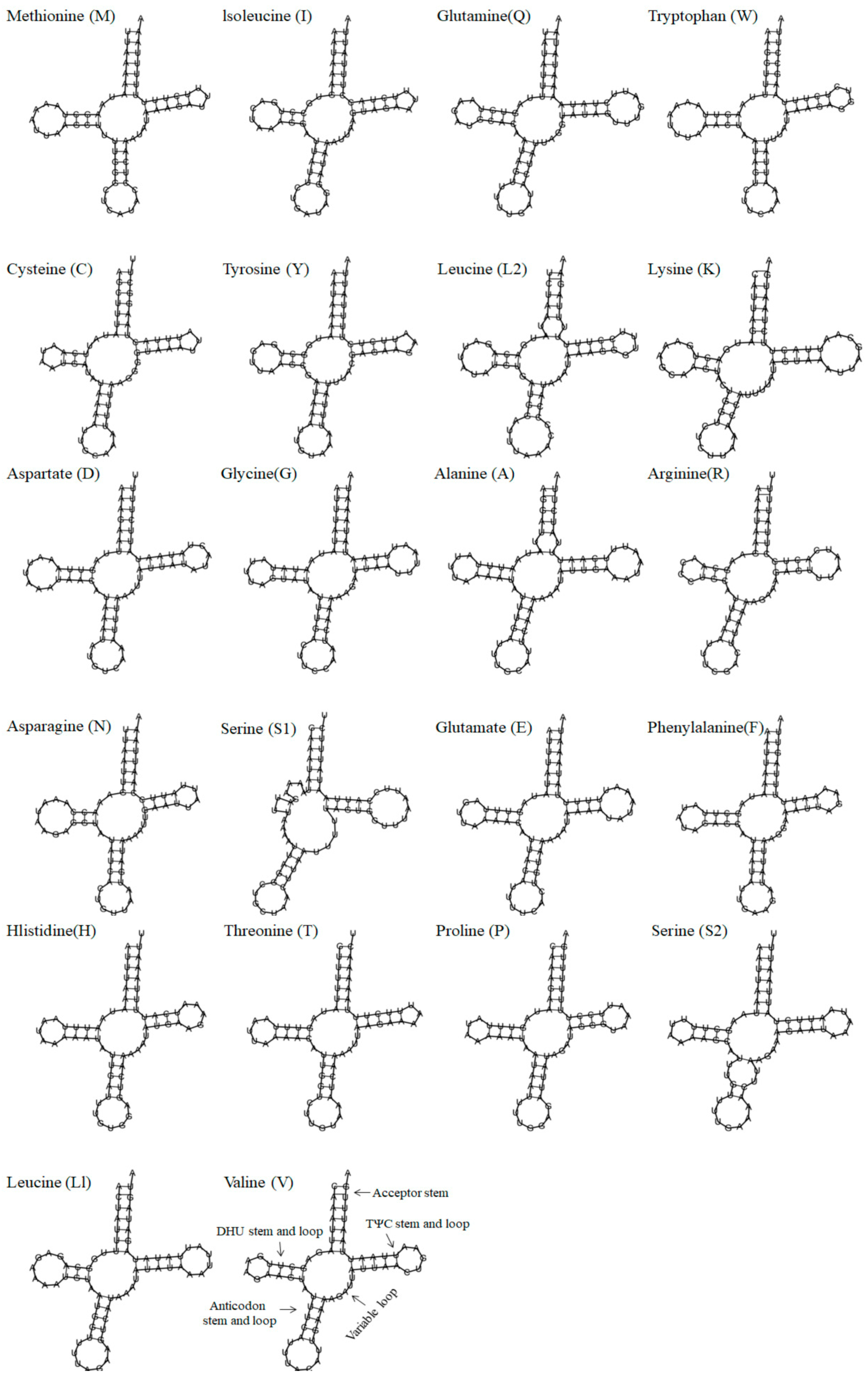 Diversity 16 00282 g003 Diversity 16 00282 g003